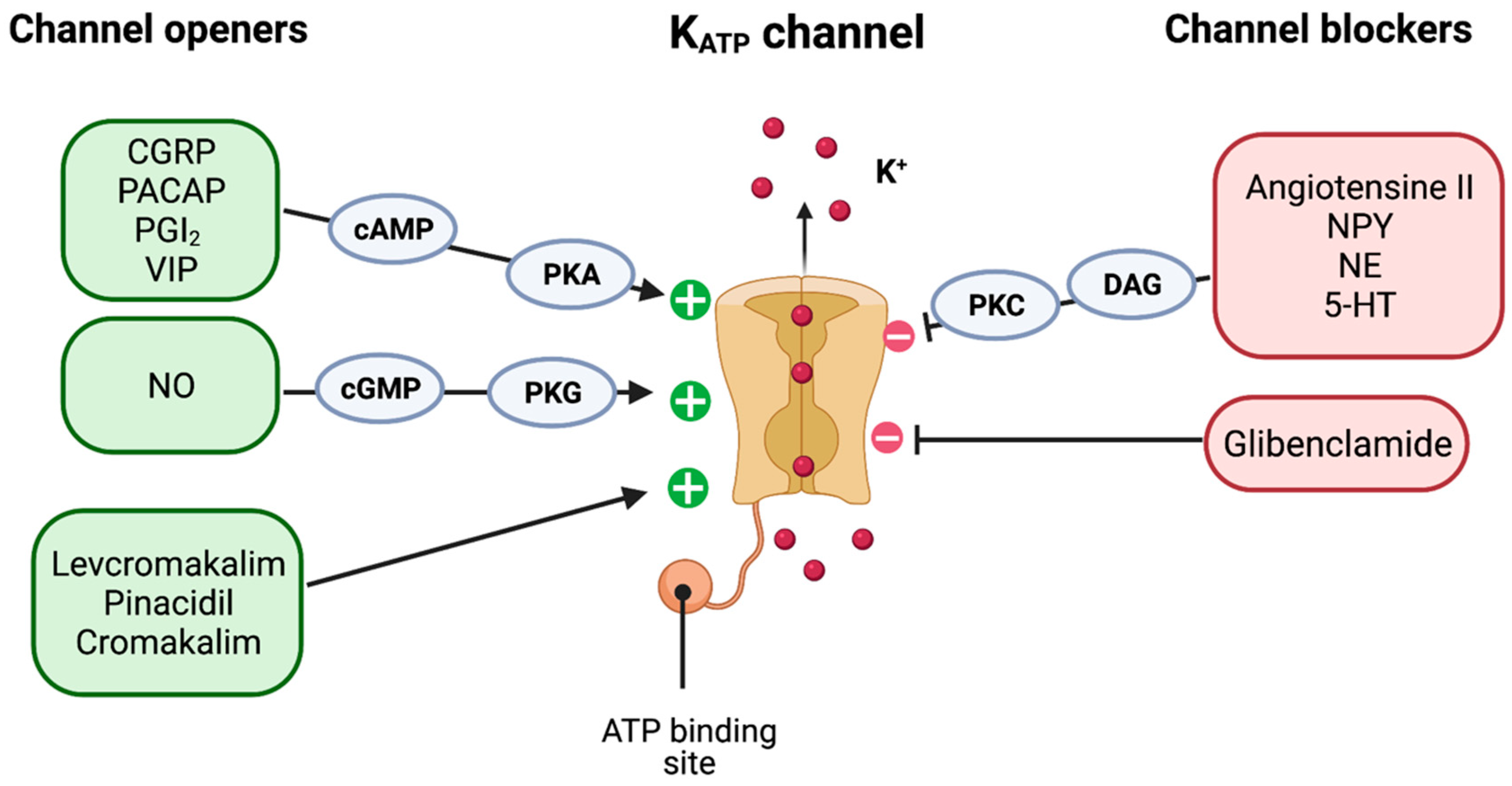Pharmaceuticals 16 00438 g003