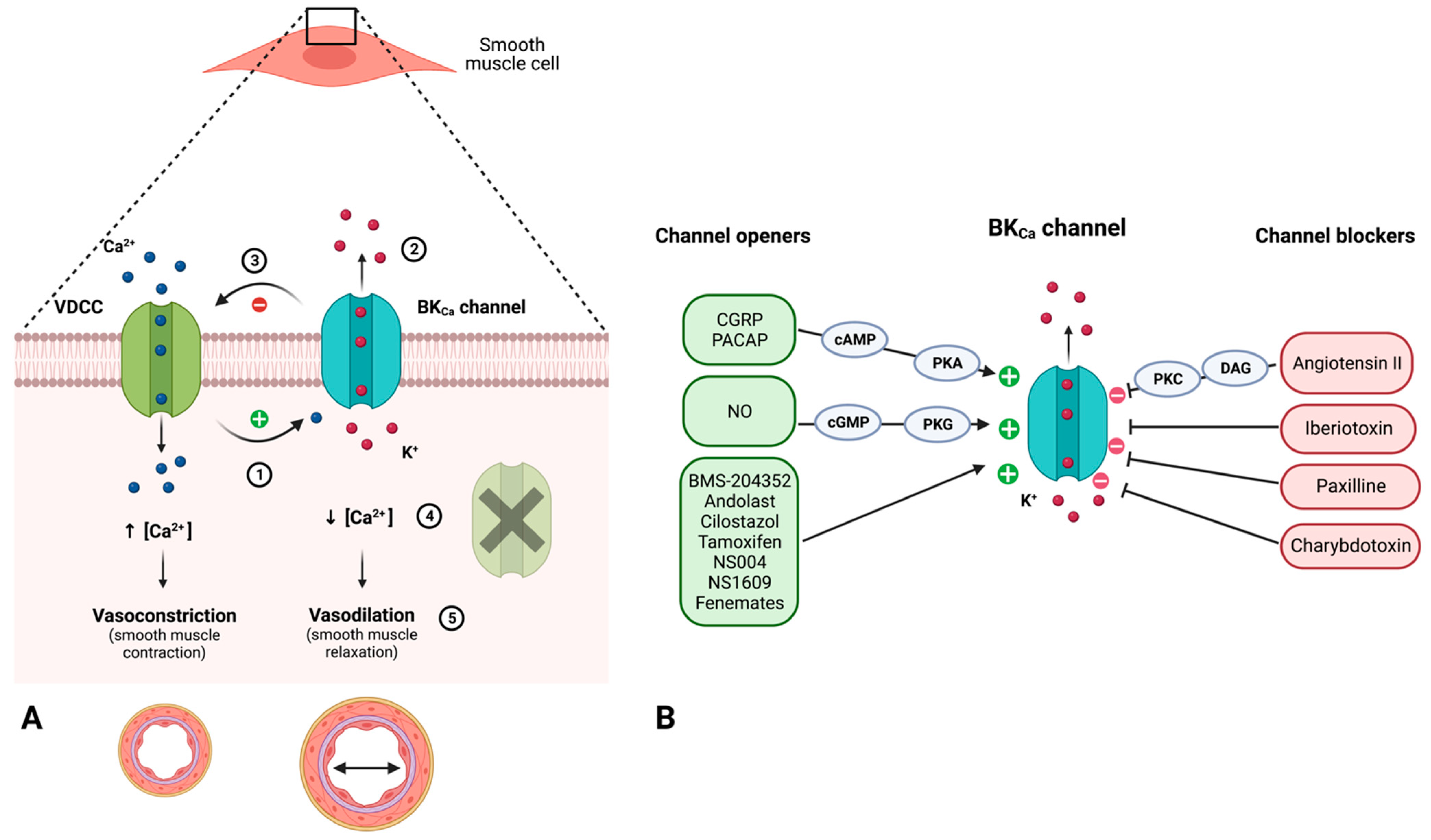 Pharmaceuticals 16 00438 g006