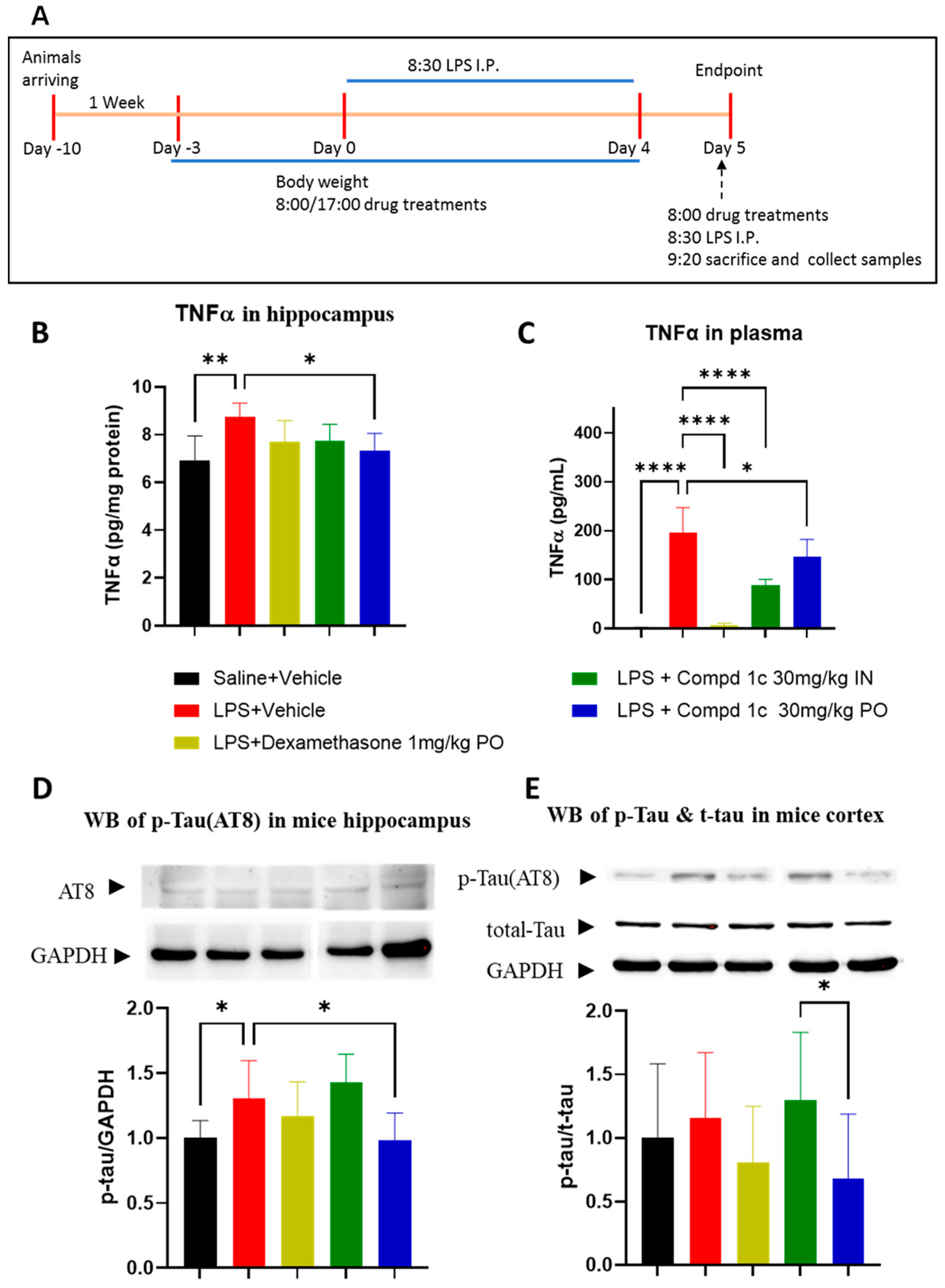 Pharmaceuticals 16 00443 g002 Pharmaceuticals 16 00443 g002