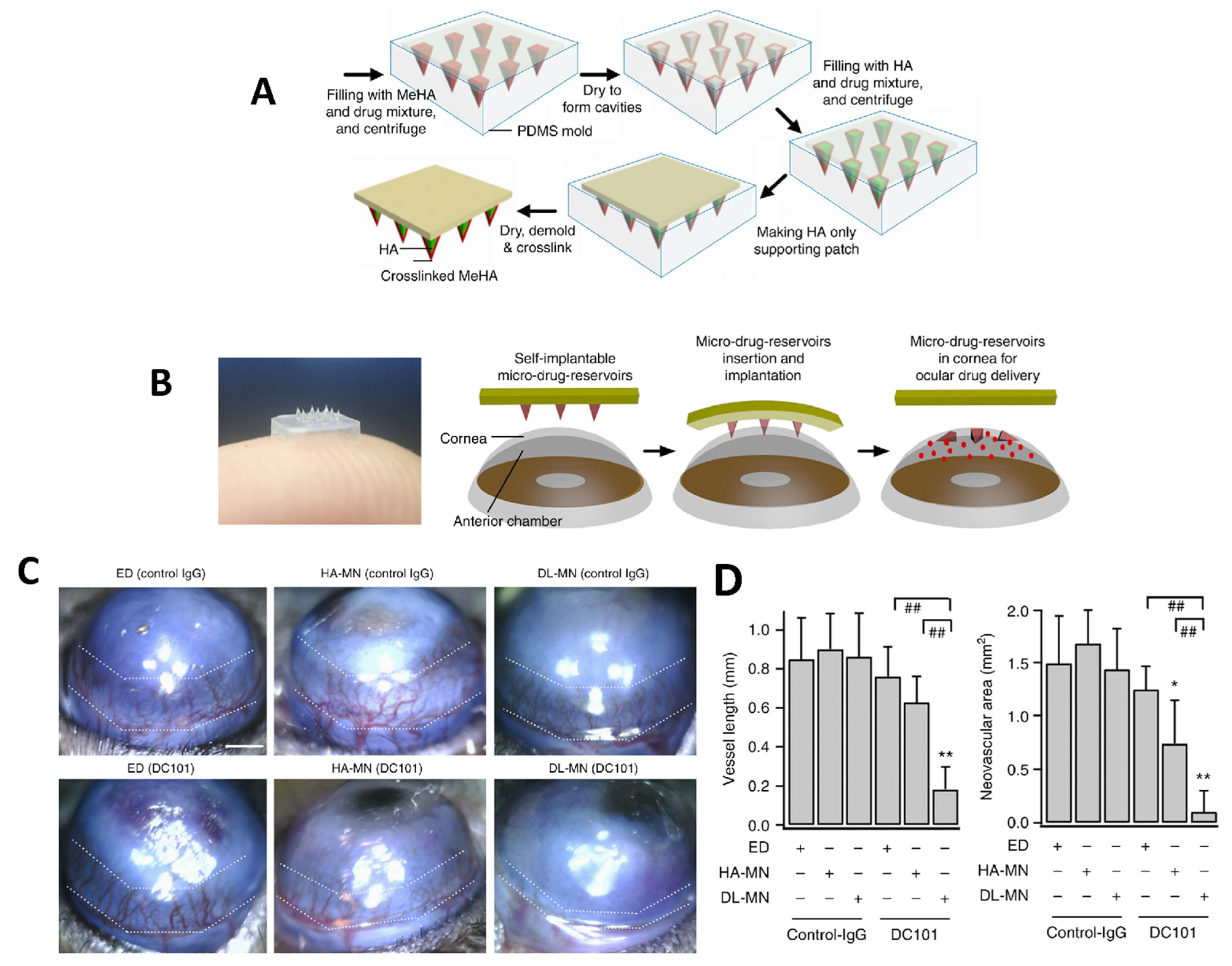 Pharmaceuticals 16 00445 g003 Pharmaceuticals 16 00445 g003