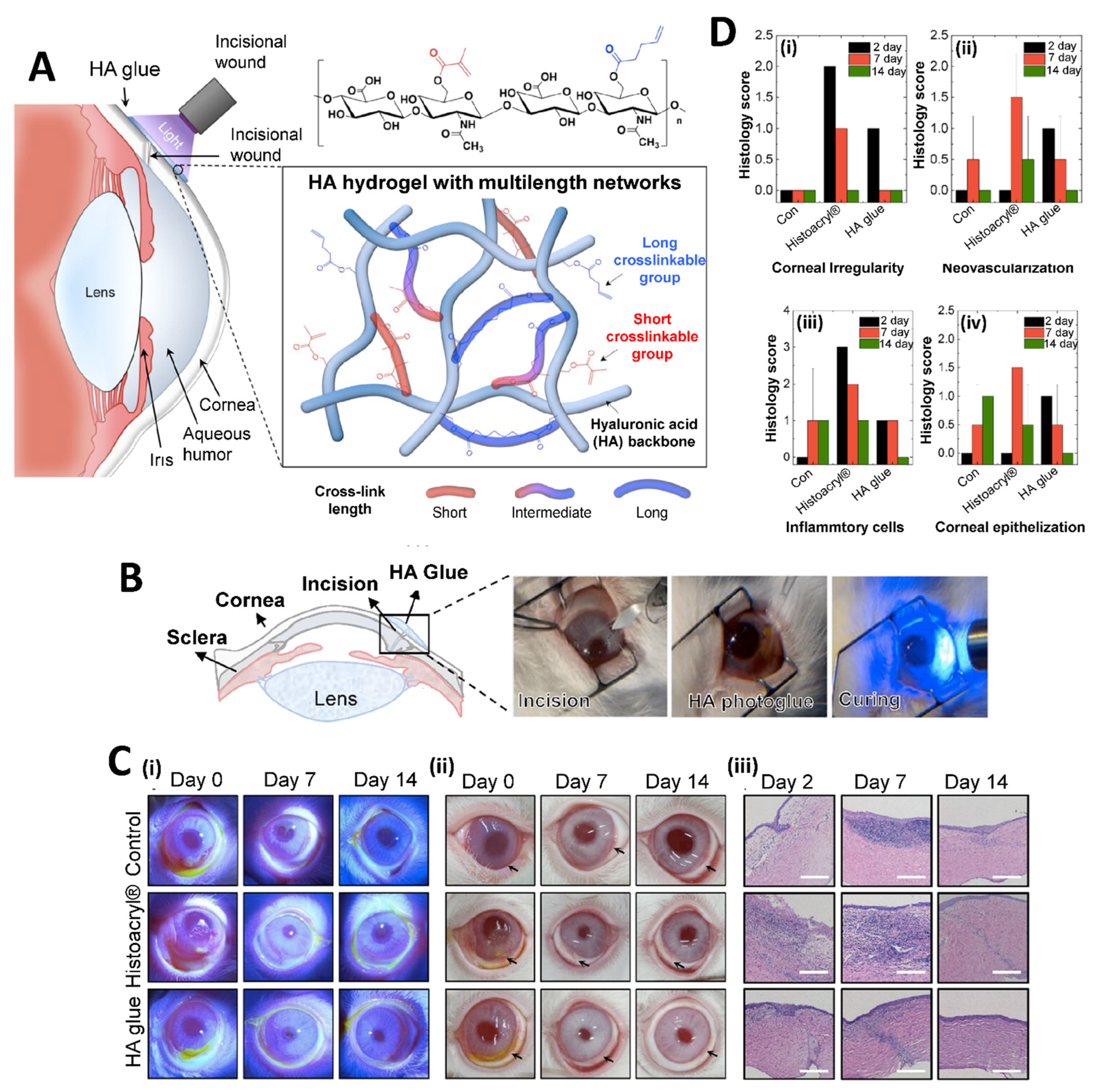Pharmaceuticals 16 00445 g005 Pharmaceuticals 16 00445 g005