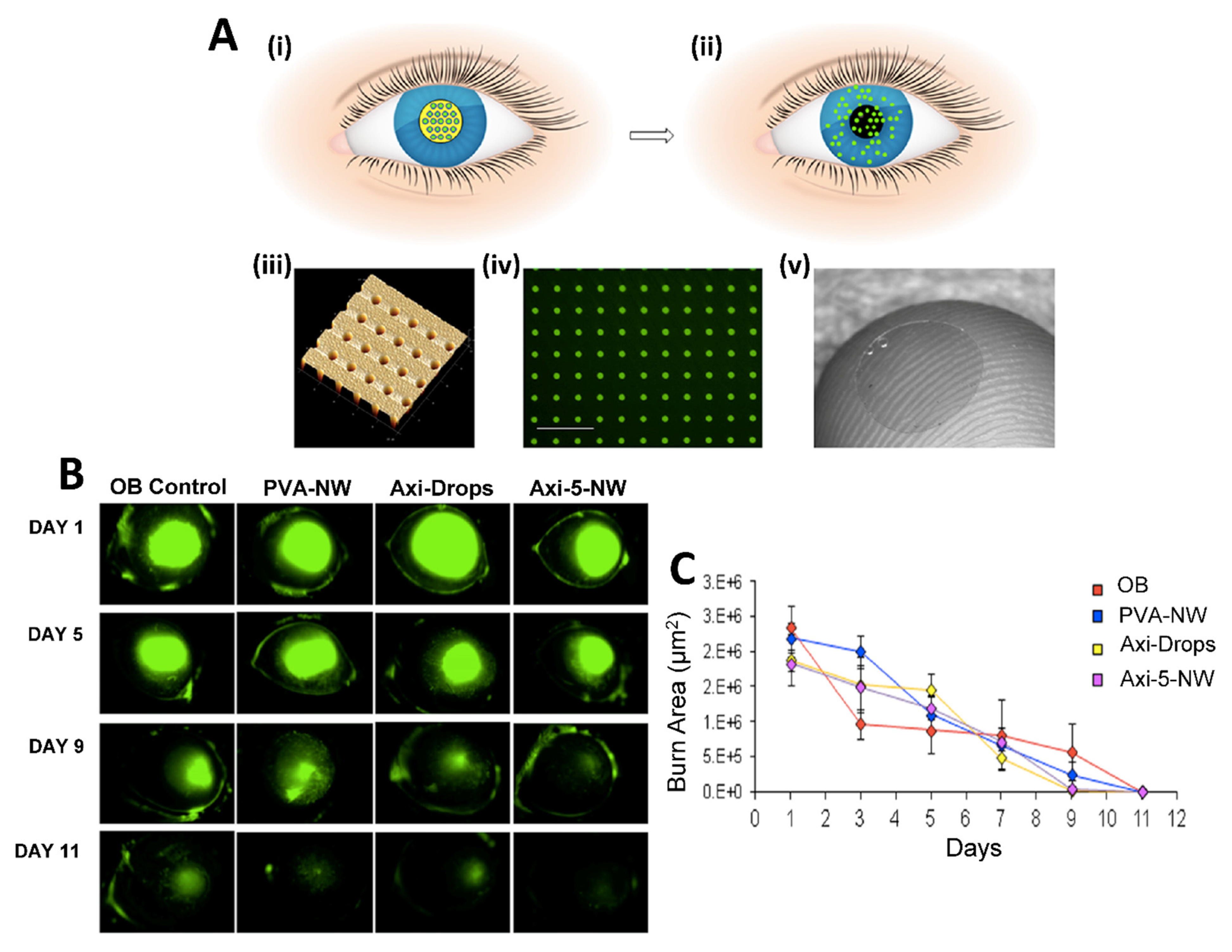 Pharmaceuticals 16 00445 g006 Pharmaceuticals 16 00445 g006