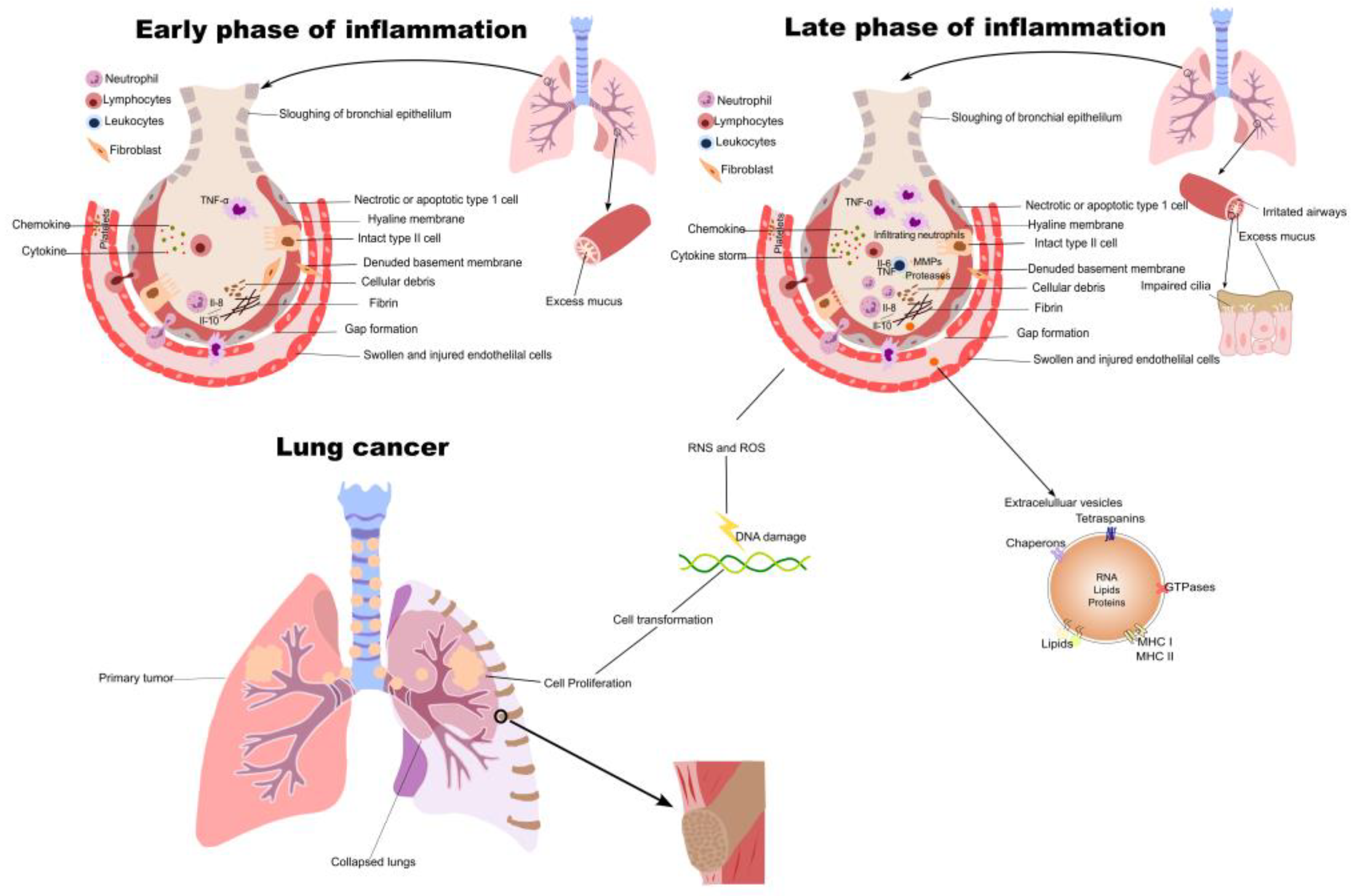 Pharmaceuticals 16 00451 g001