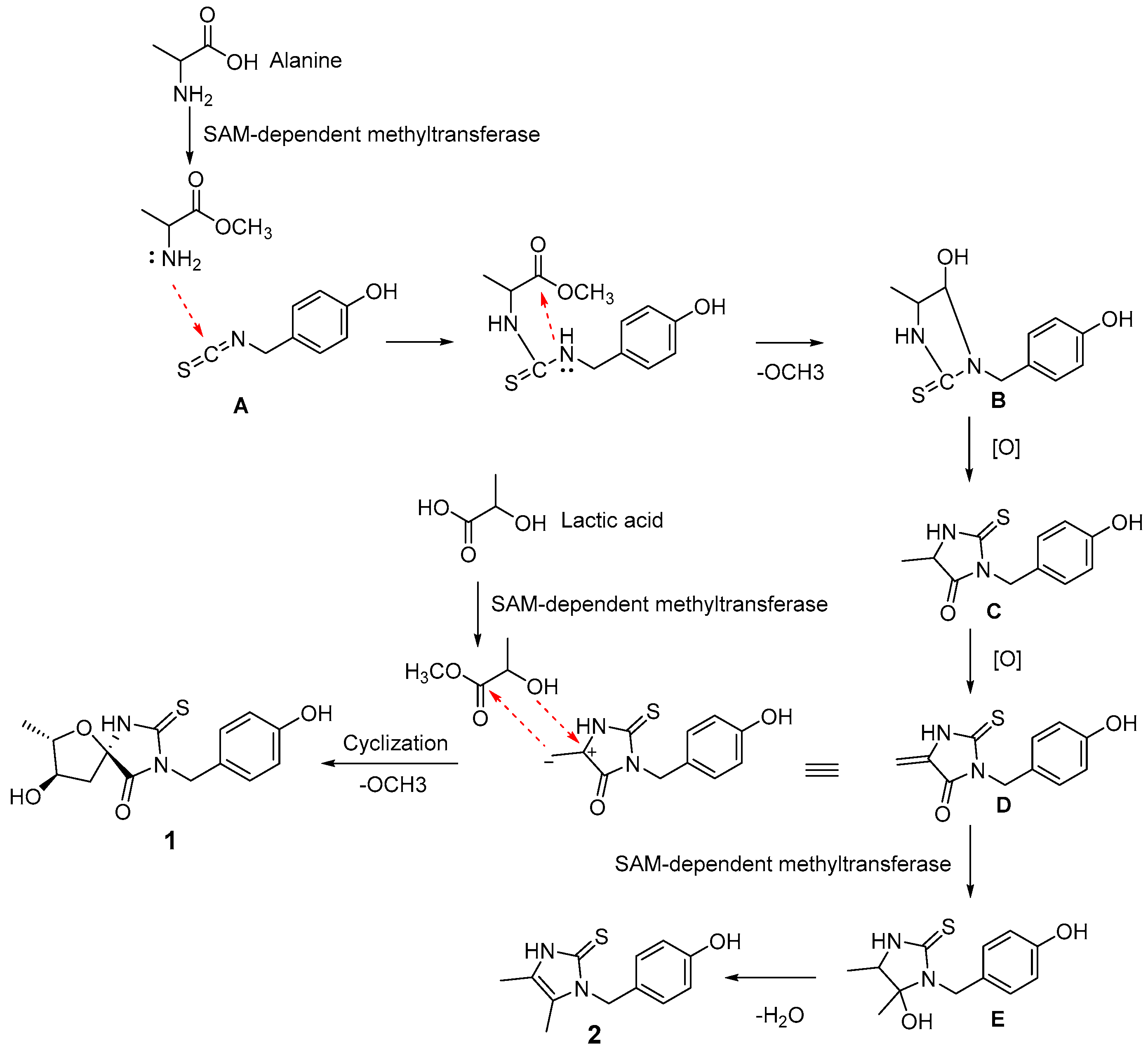 Pharmaceuticals 16 00452 sch001 550