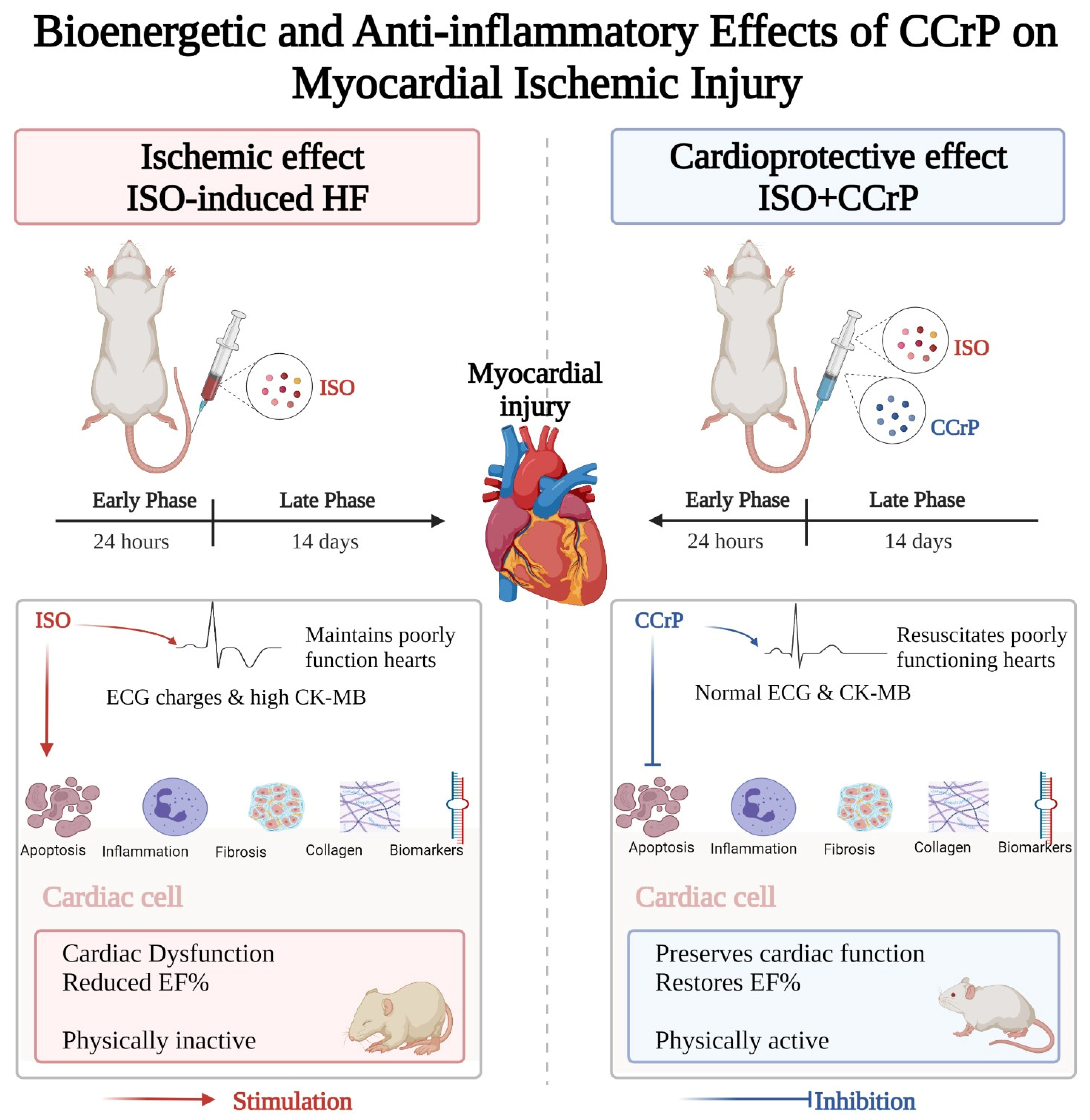 Pharmaceuticals 16 00453 g001
