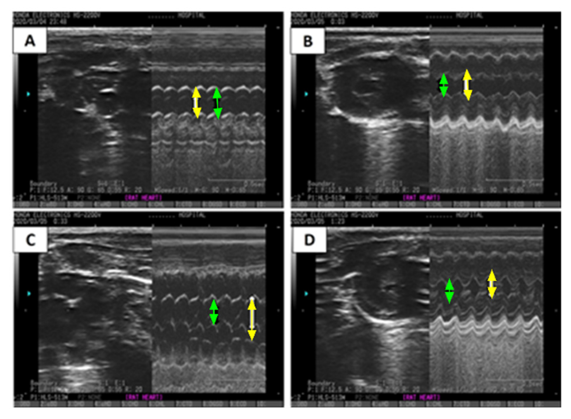 Pharmaceuticals 16 00453 g004