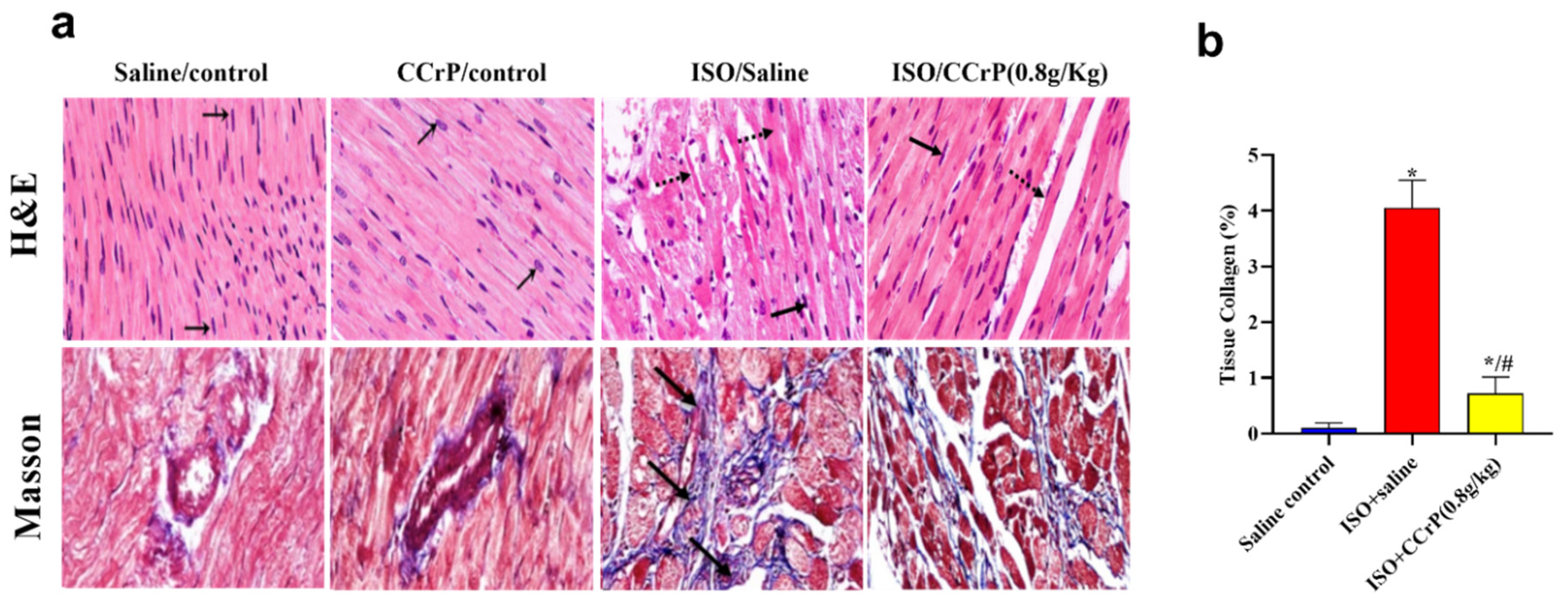 Pharmaceuticals 16 00453 g005