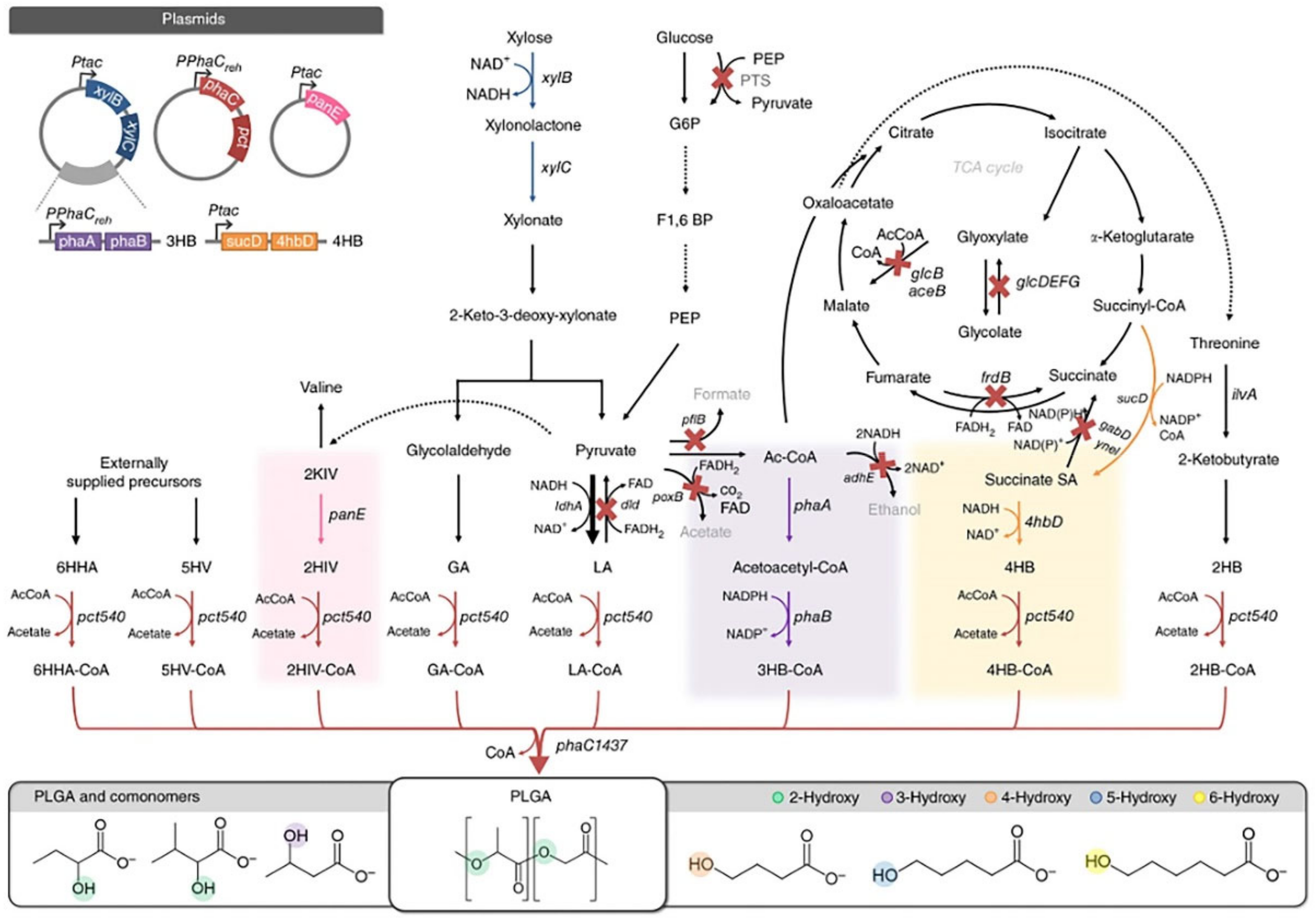Pharmaceuticals 16 00454 g001 Pharmaceuticals 16 00454 g001