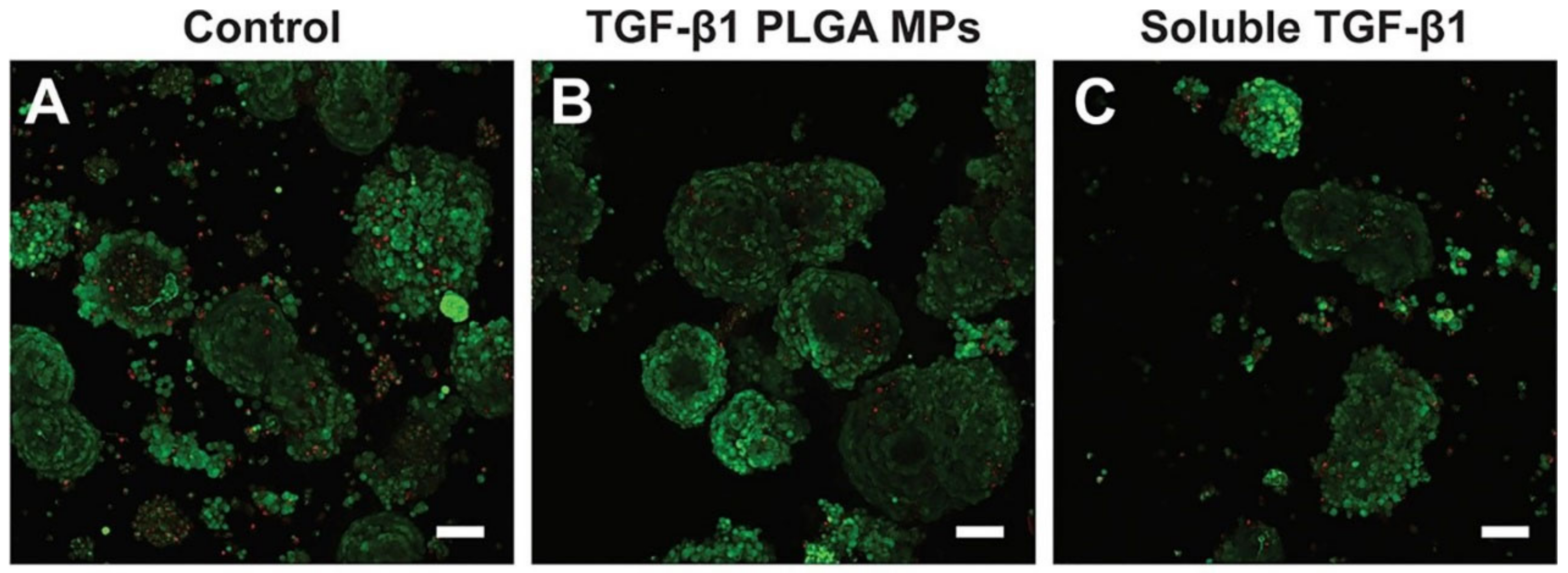 Pharmaceuticals 16 00454 g009 Pharmaceuticals 16 00454 g009