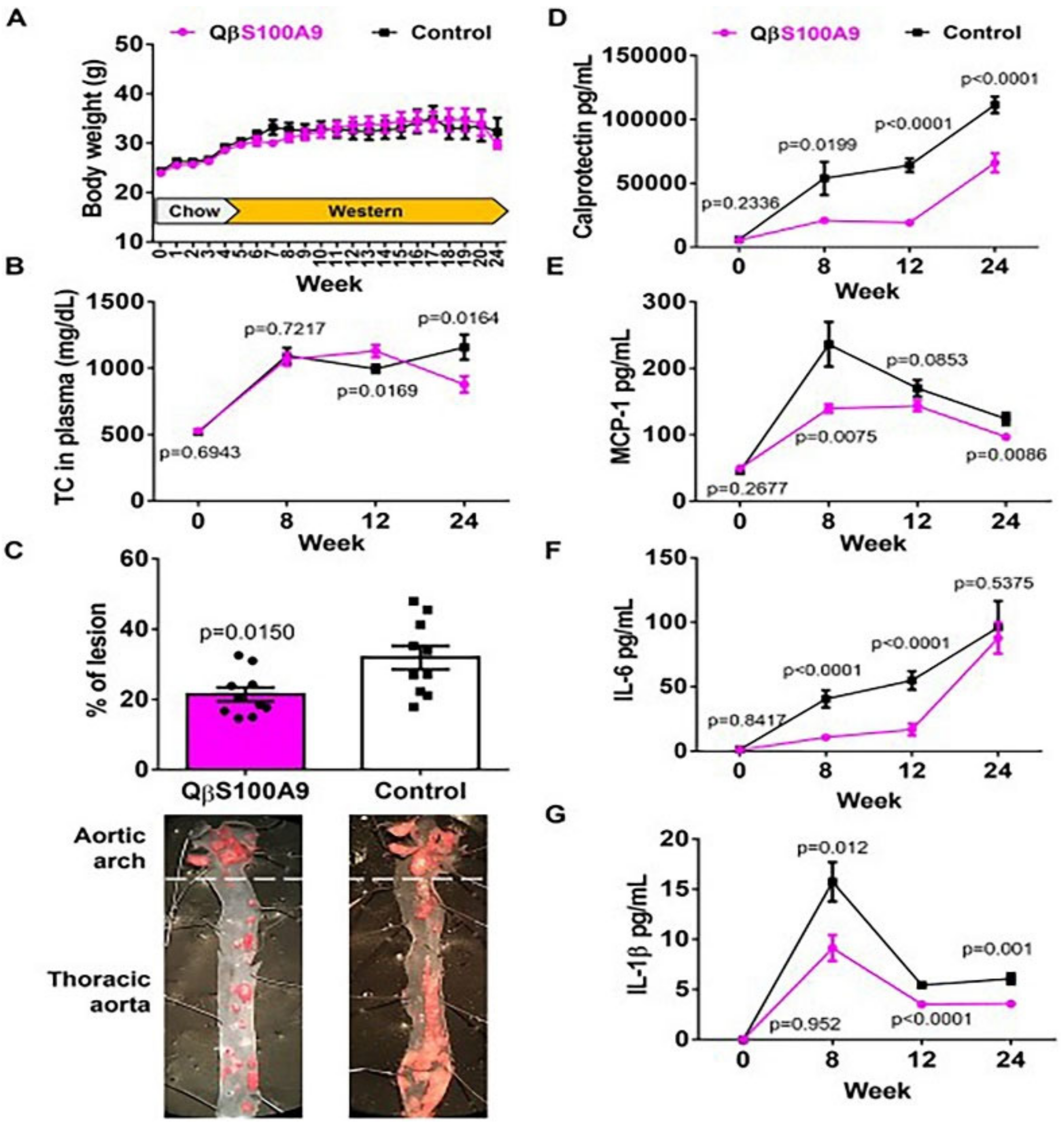 Pharmaceuticals 16 00454 g011 Pharmaceuticals 16 00454 g011