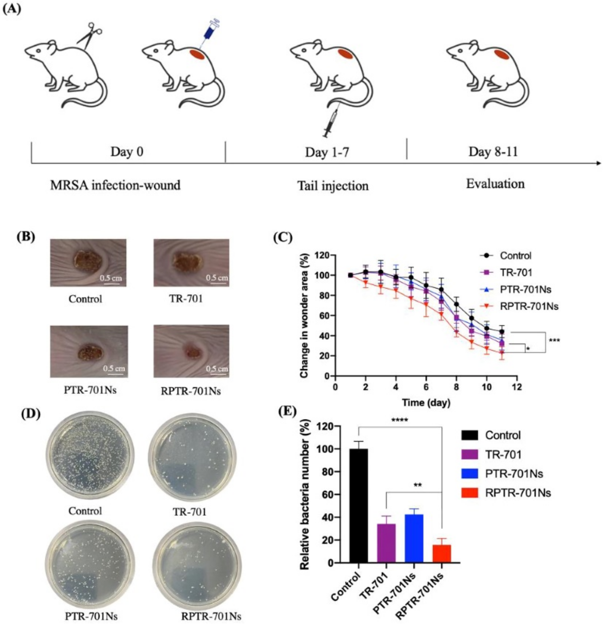 Pharmaceuticals 16 00454 g012 Pharmaceuticals 16 00454 g012