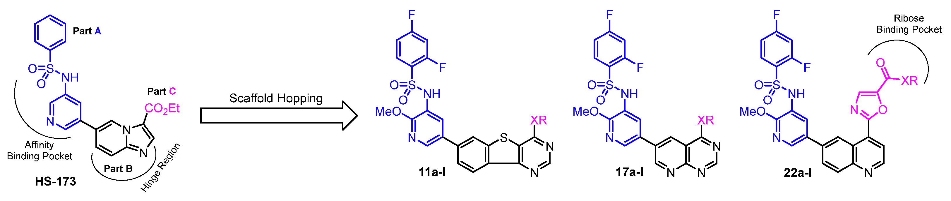 Pharmaceuticals 16 00461 g002