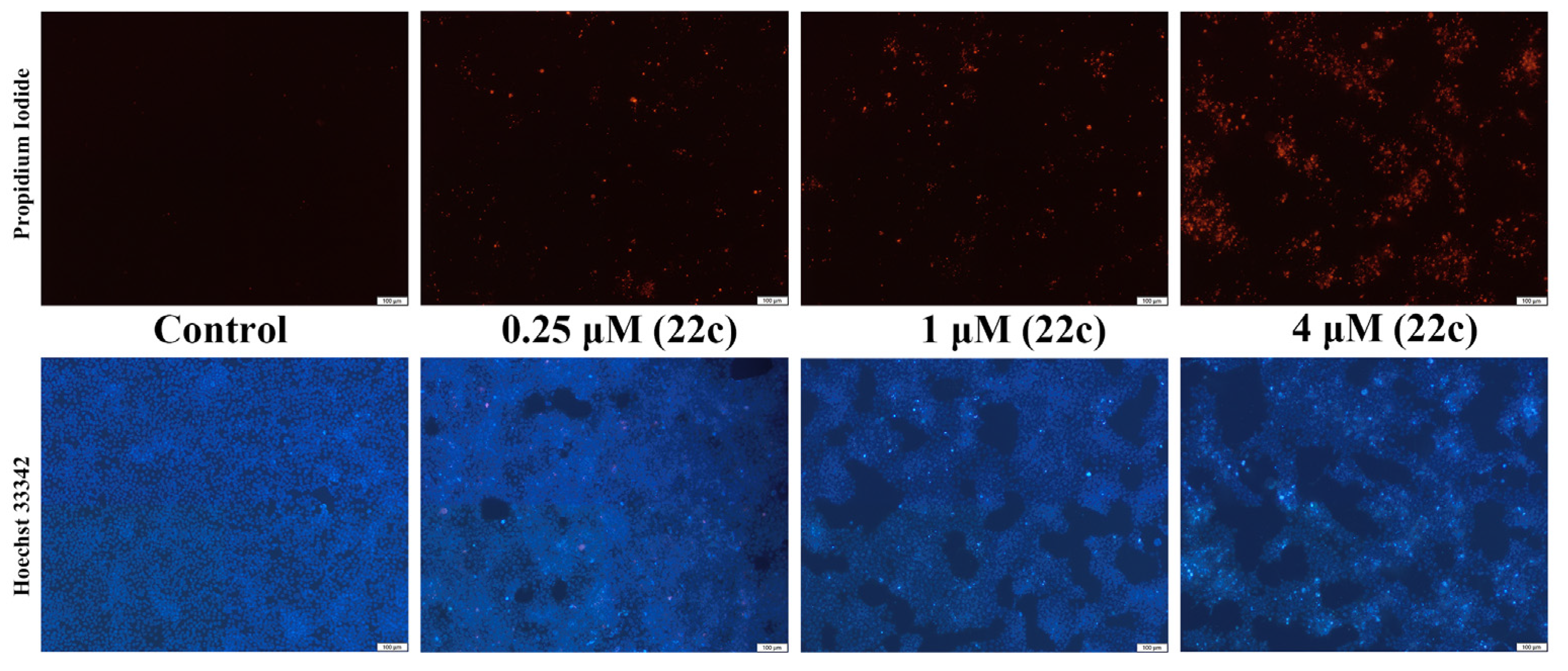 Pharmaceuticals 16 00461 g006