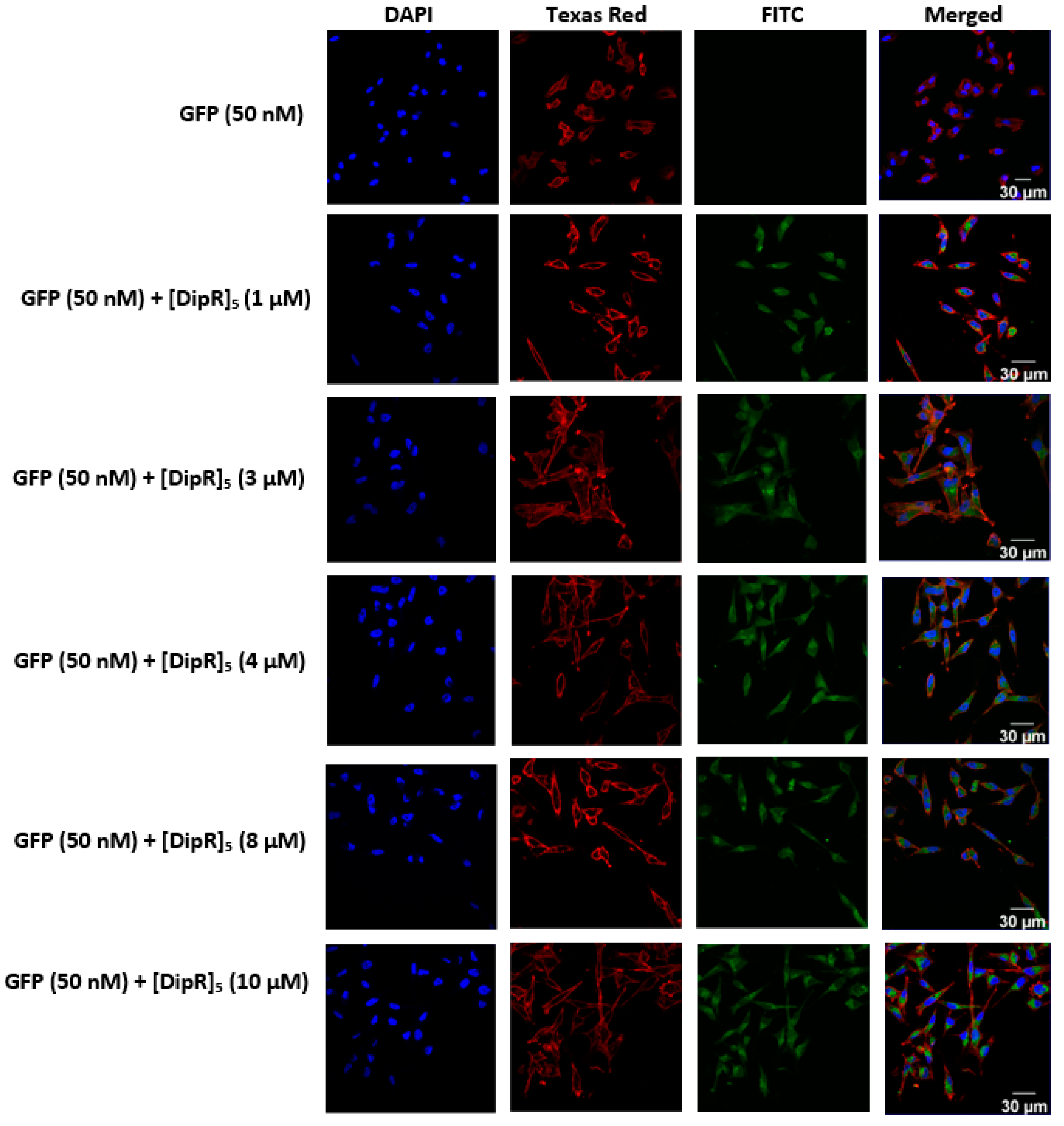 Pharmaceuticals 16 00469 g008 Pharmaceuticals 16 00469 g008