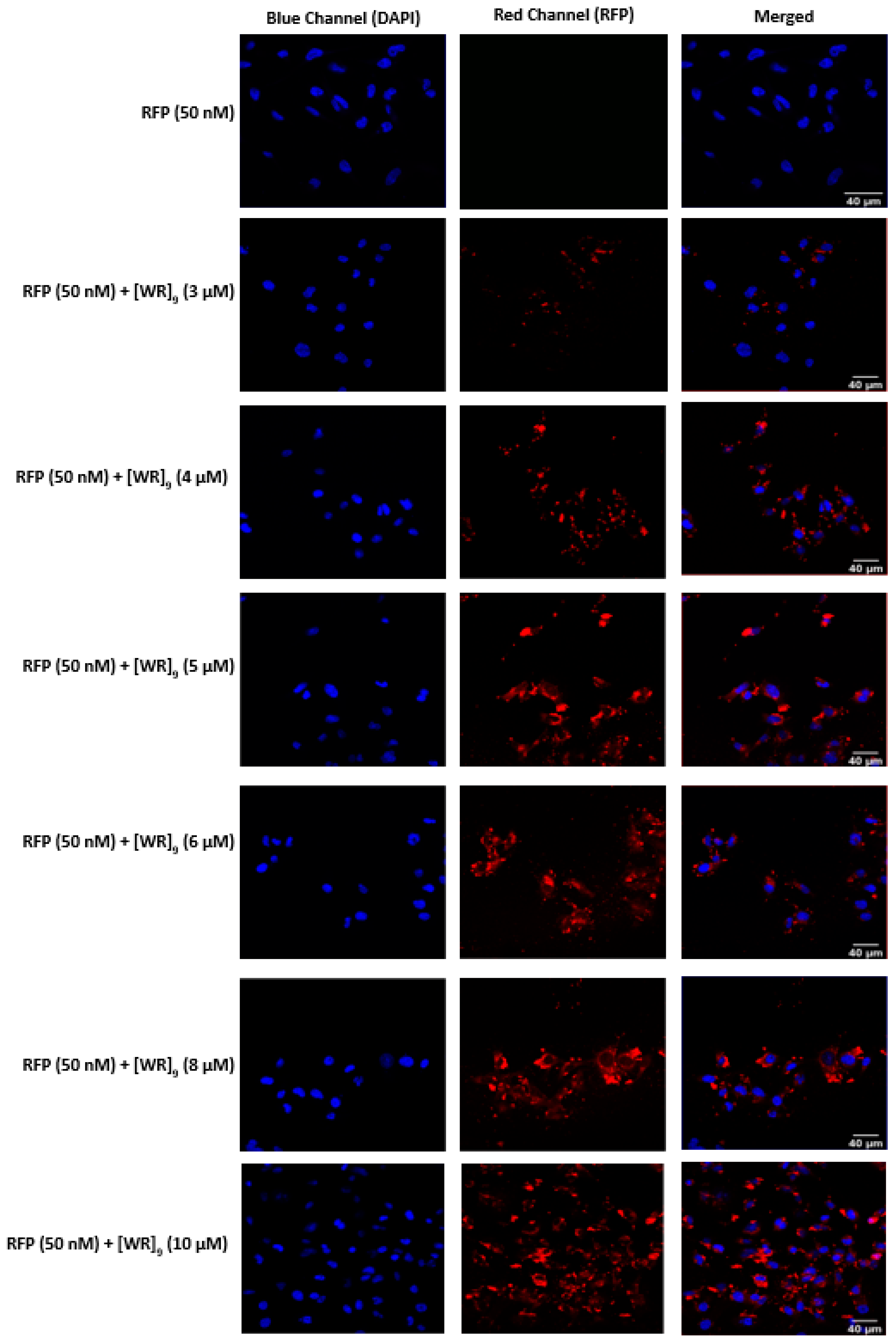 Pharmaceuticals 16 00469 g010 Pharmaceuticals 16 00469 g010