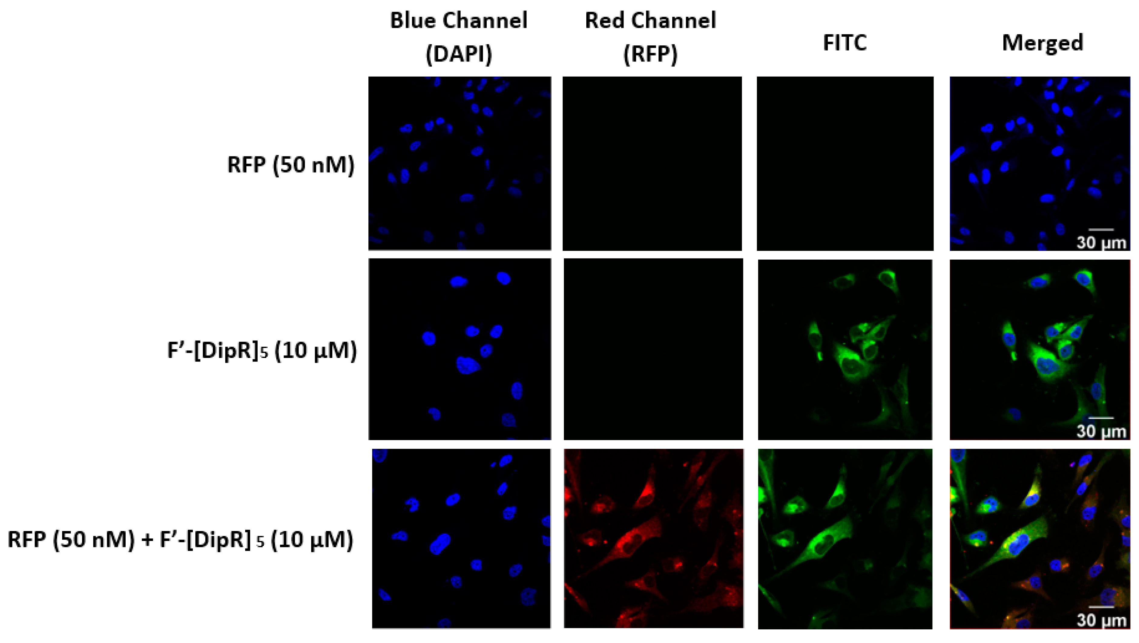 Pharmaceuticals 16 00469 g014 Pharmaceuticals 16 00469 g014