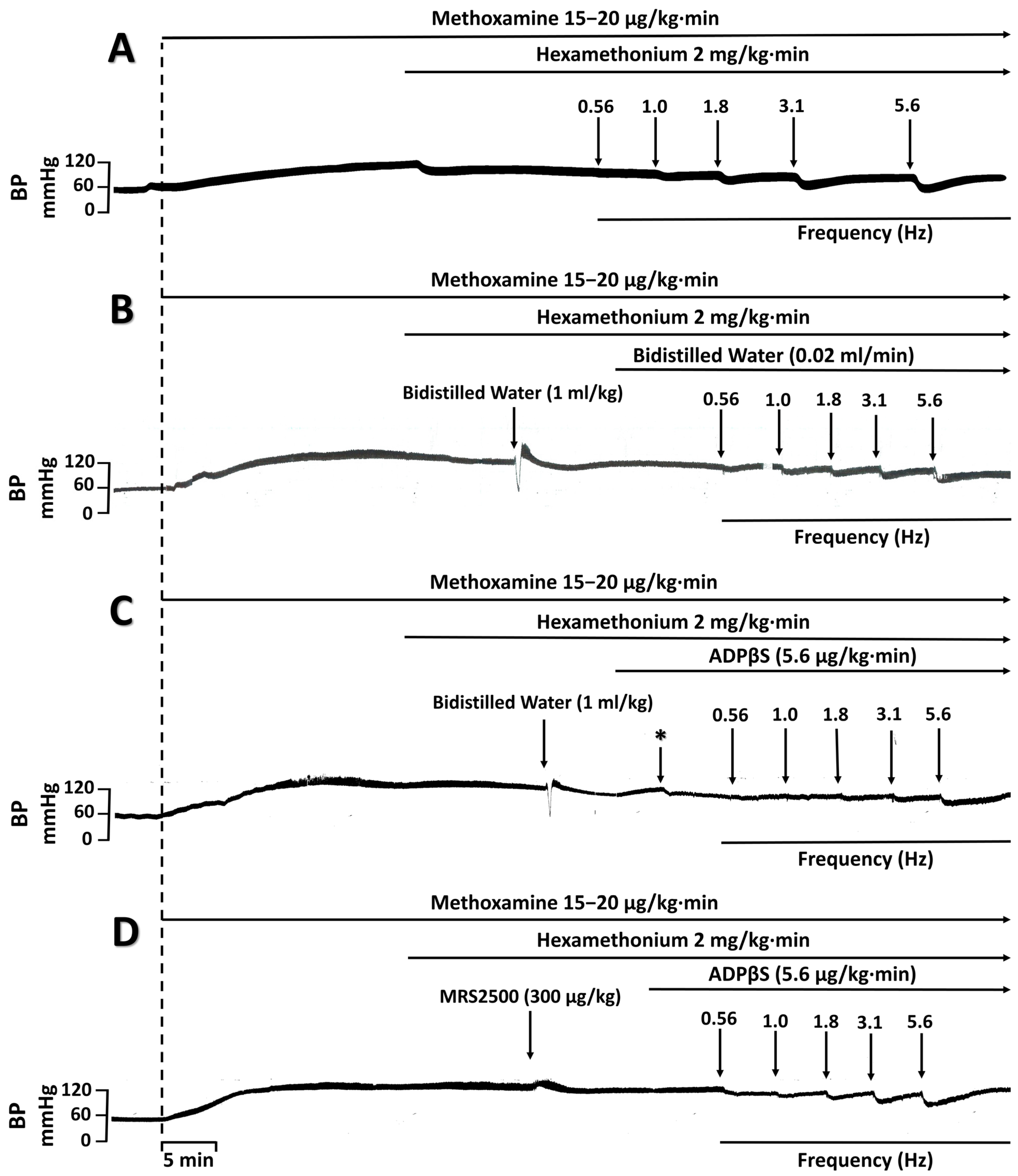 Pharmaceuticals 16 00475 g004 Pharmaceuticals 16 00475 g004