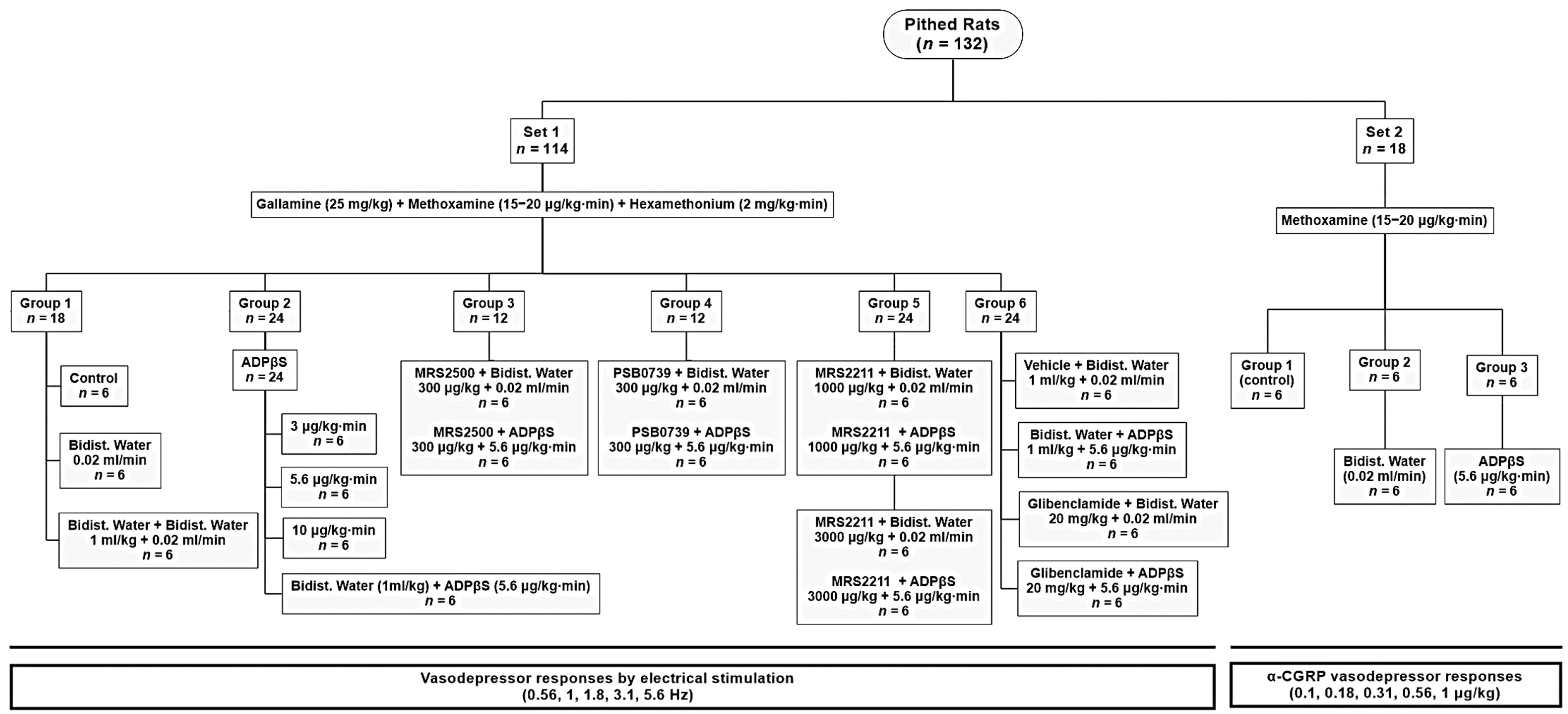 Pharmaceuticals 16 00475 g006 Pharmaceuticals 16 00475 g006