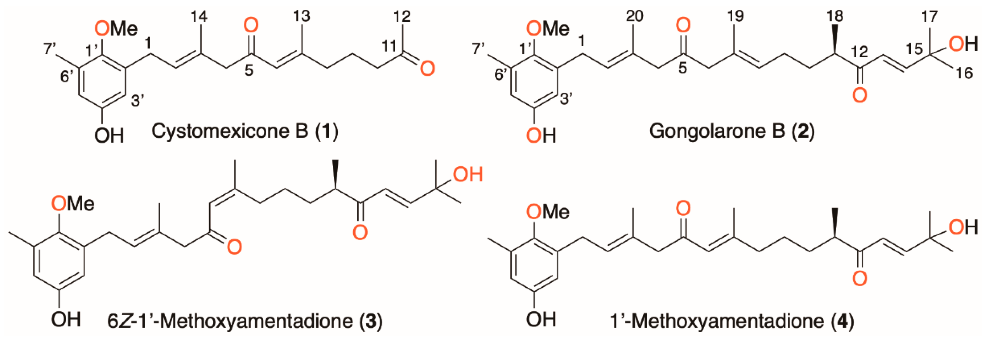 Pharmaceuticals 16 00476 g001