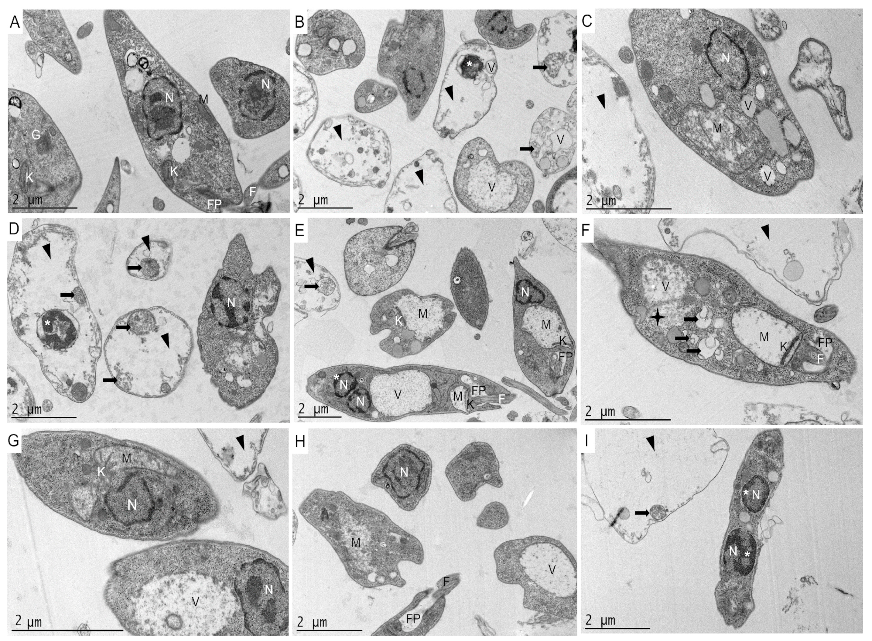 Pharmaceuticals 16 00476 g005