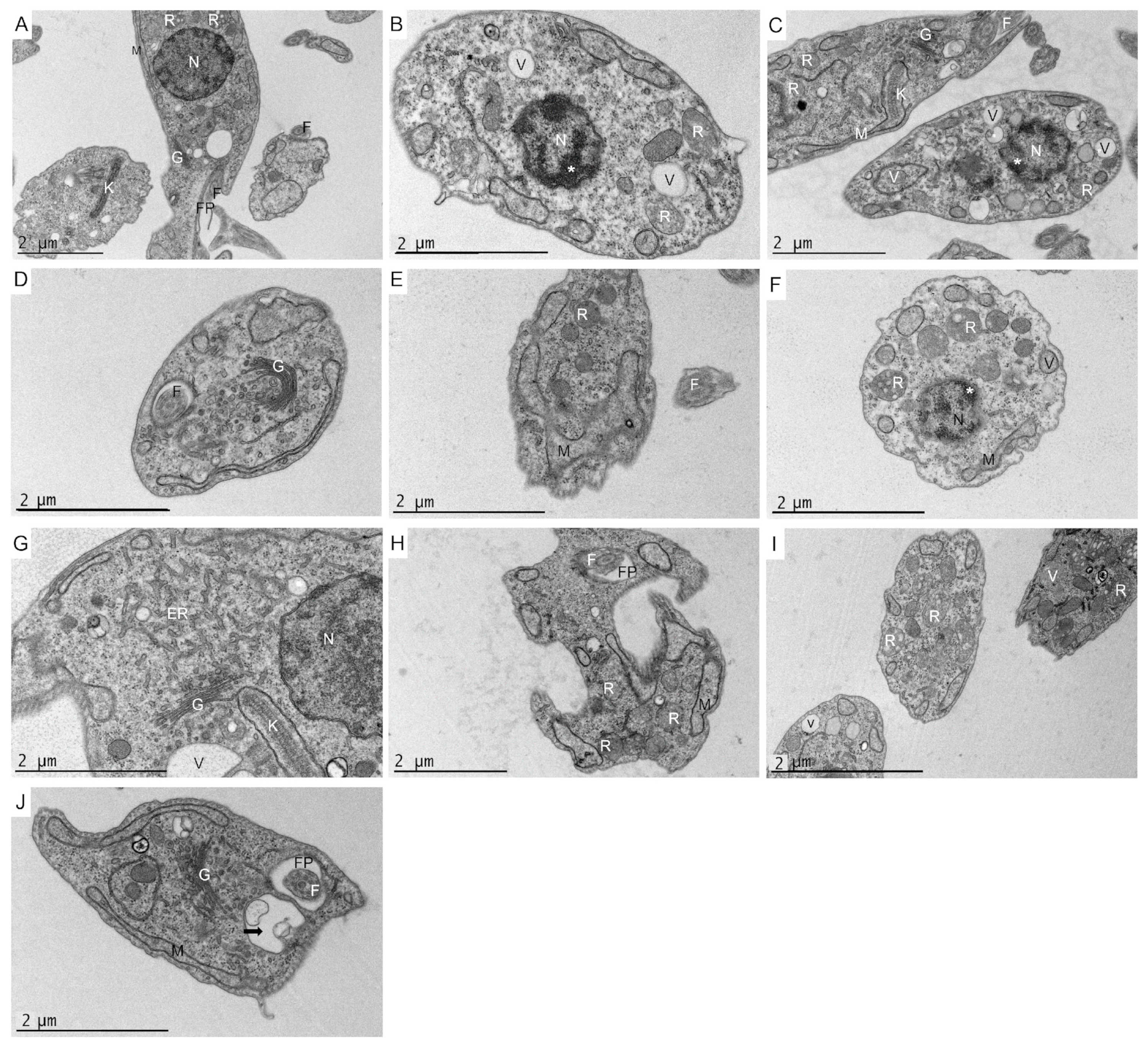 Pharmaceuticals 16 00476 g006