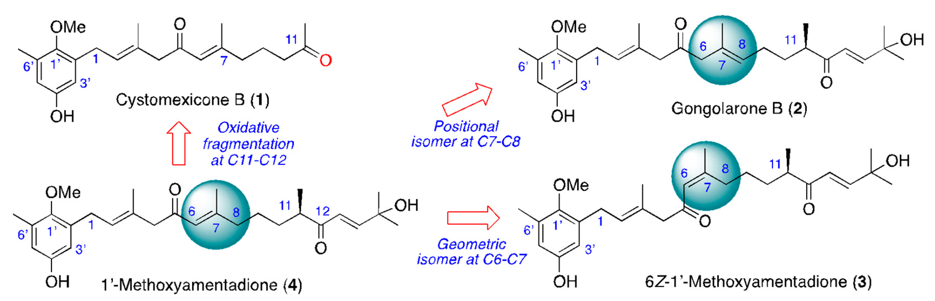Pharmaceuticals 16 00476 g007