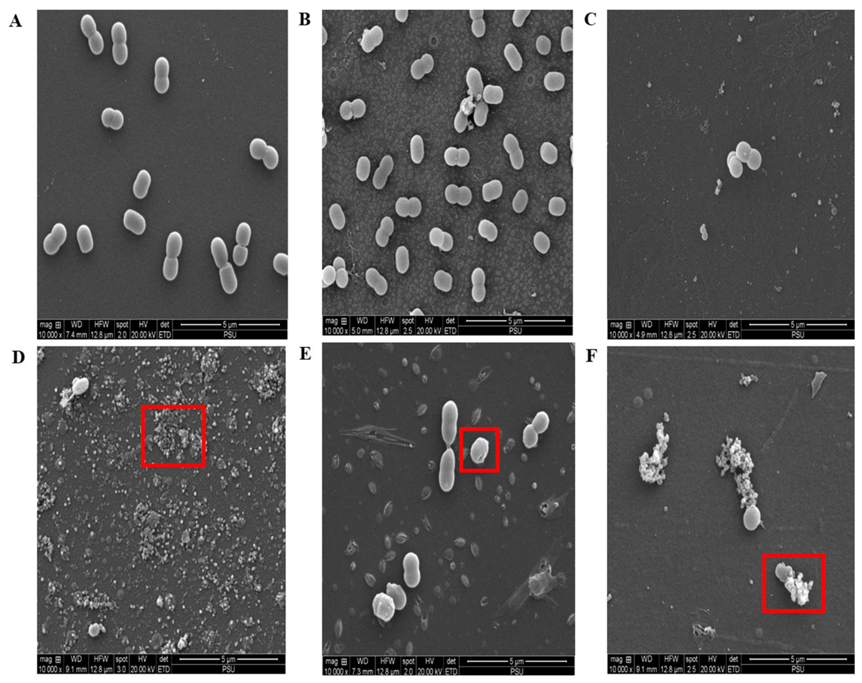 Pharmaceuticals 16 00477 g006 Pharmaceuticals 16 00477 g006