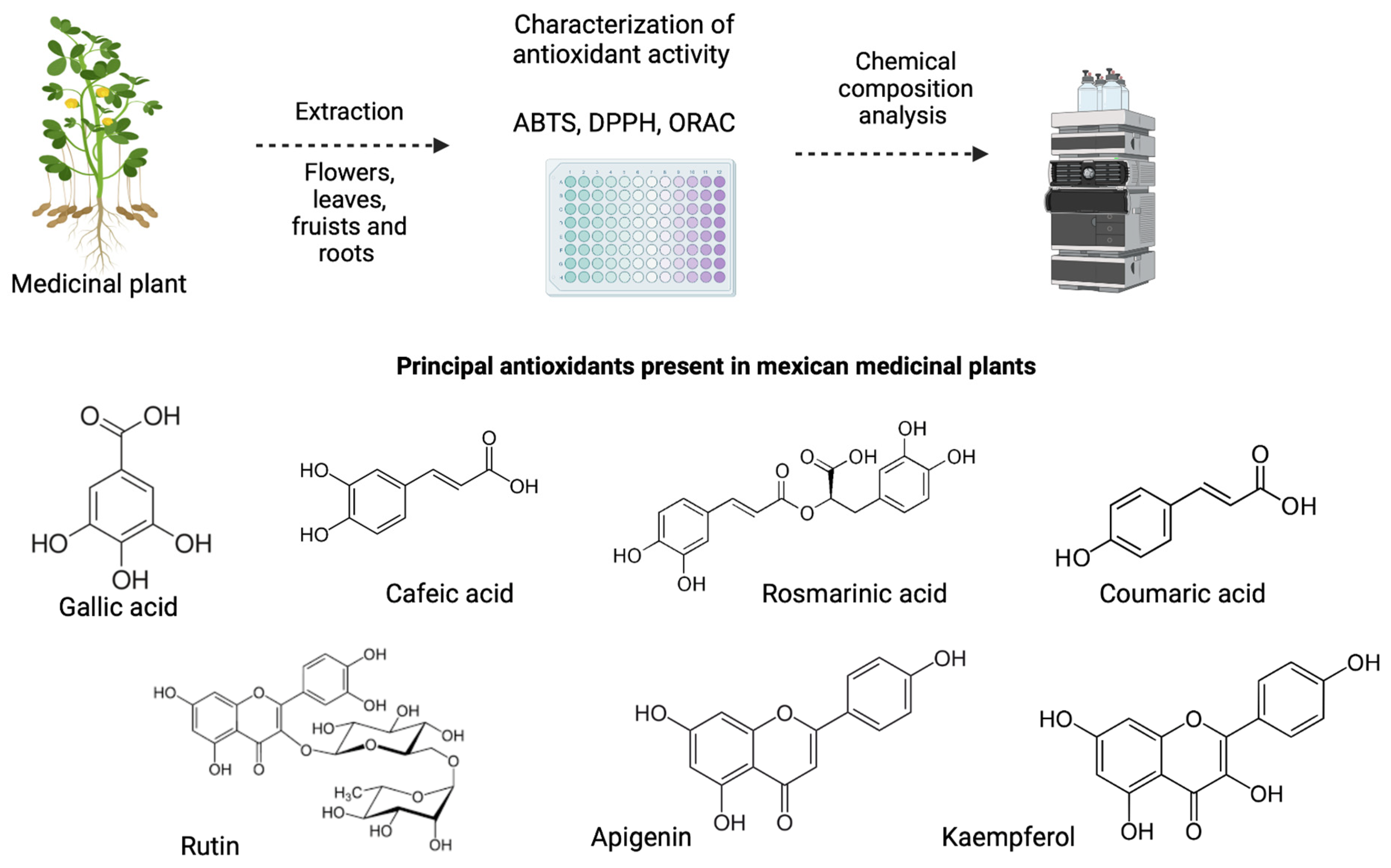 Pharmaceuticals 16 00482 g001 Pharmaceuticals 16 00482 g001