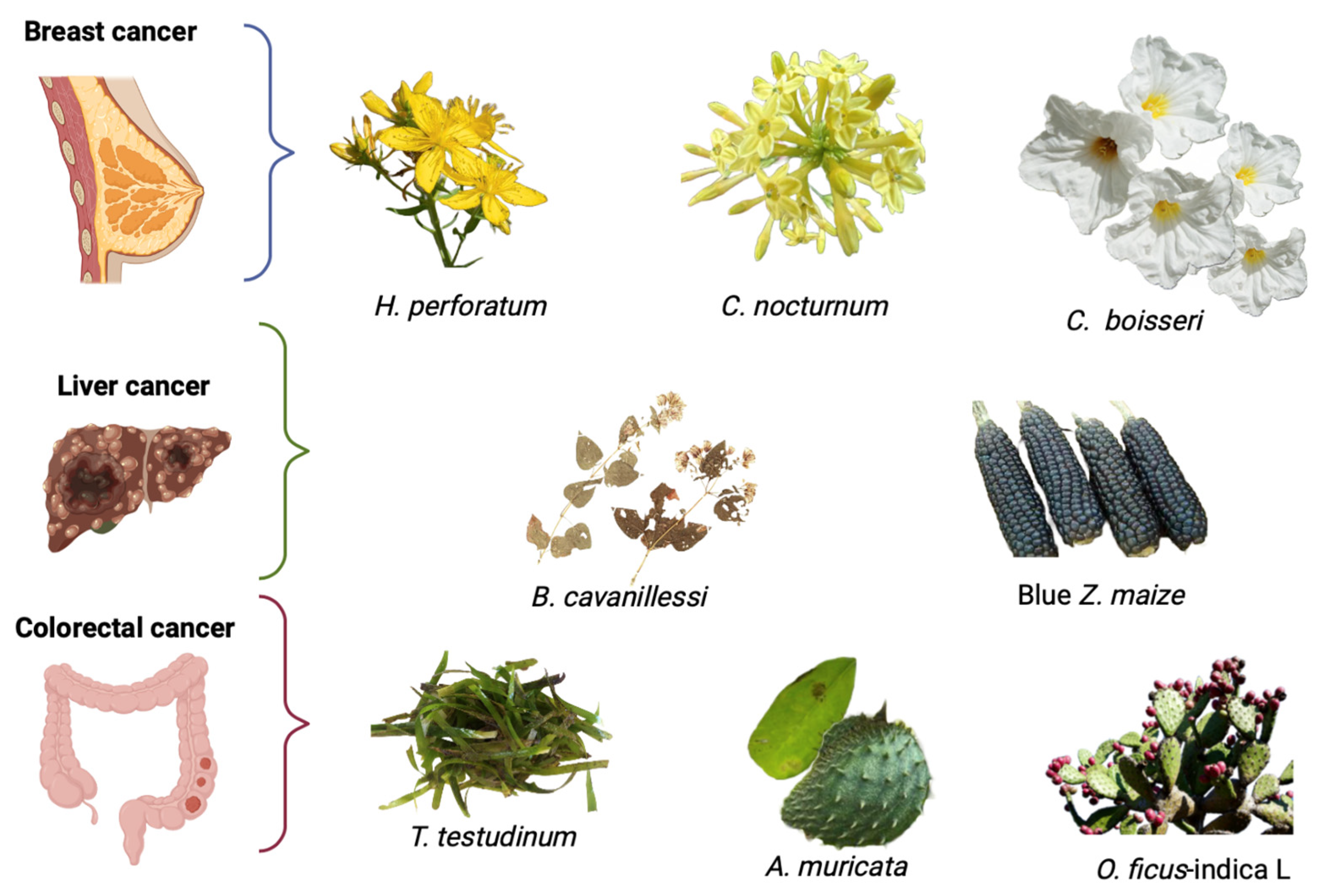 Pharmaceuticals 16 00482 g002 Pharmaceuticals 16 00482 g002