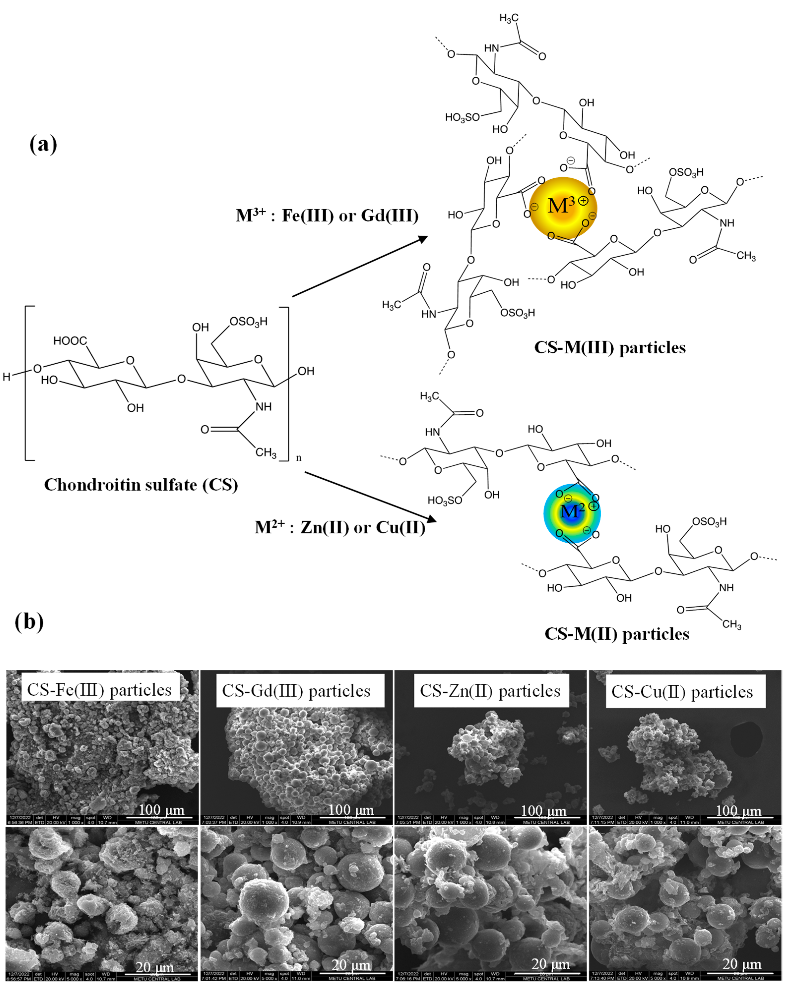 Pharmaceuticals 16 00483 g001