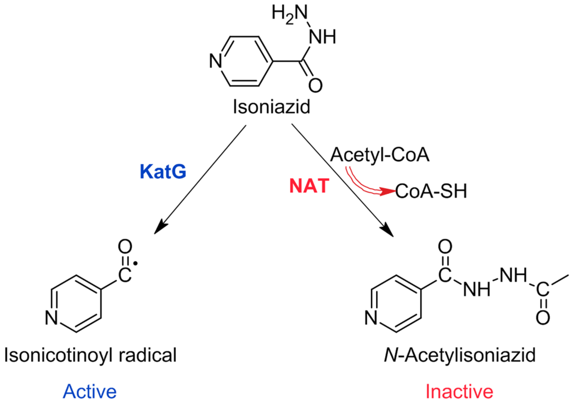Pharmaceuticals 16 00484 g002 Pharmaceuticals 16 00484 g002