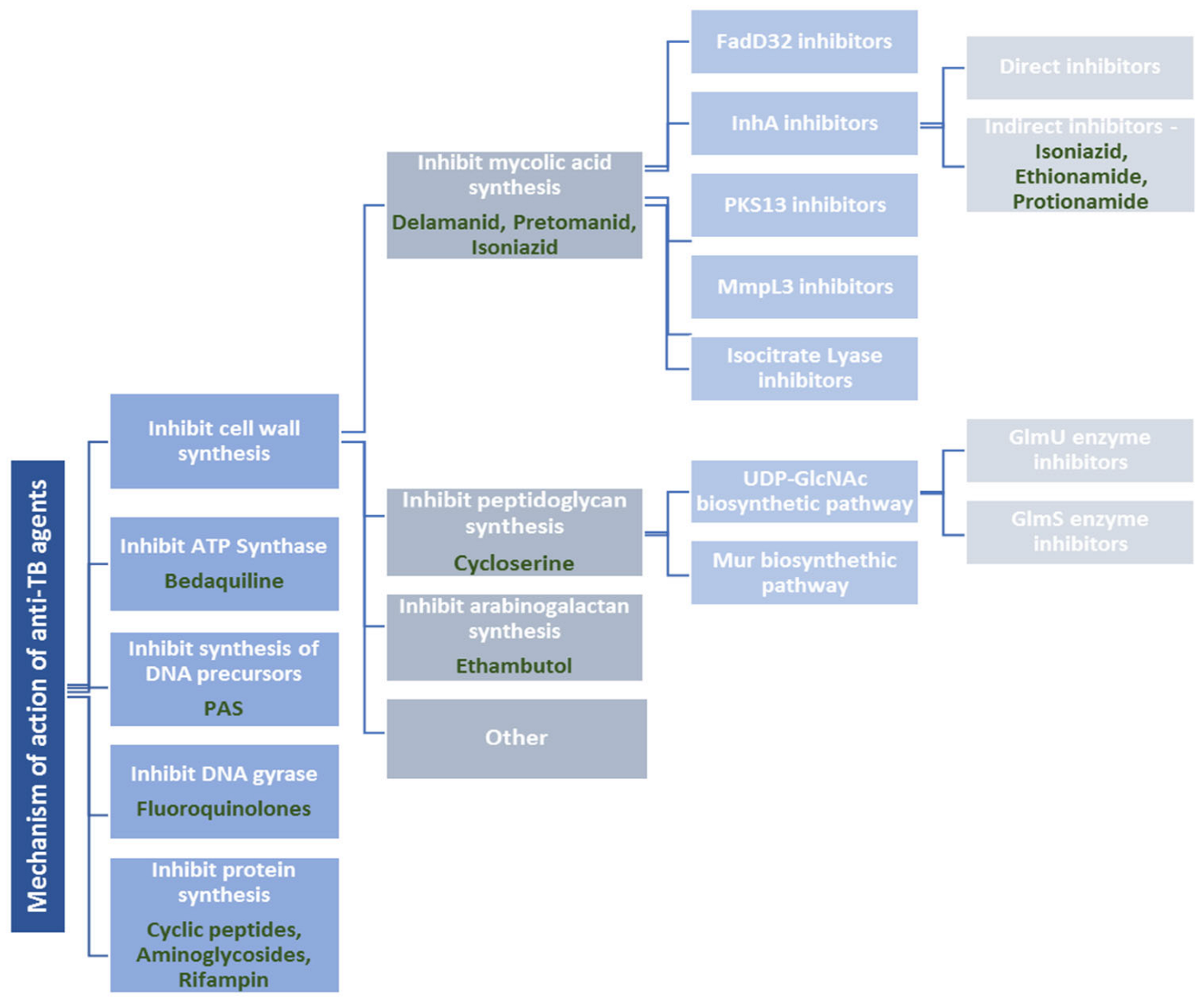 Pharmaceuticals 16 00484 g003