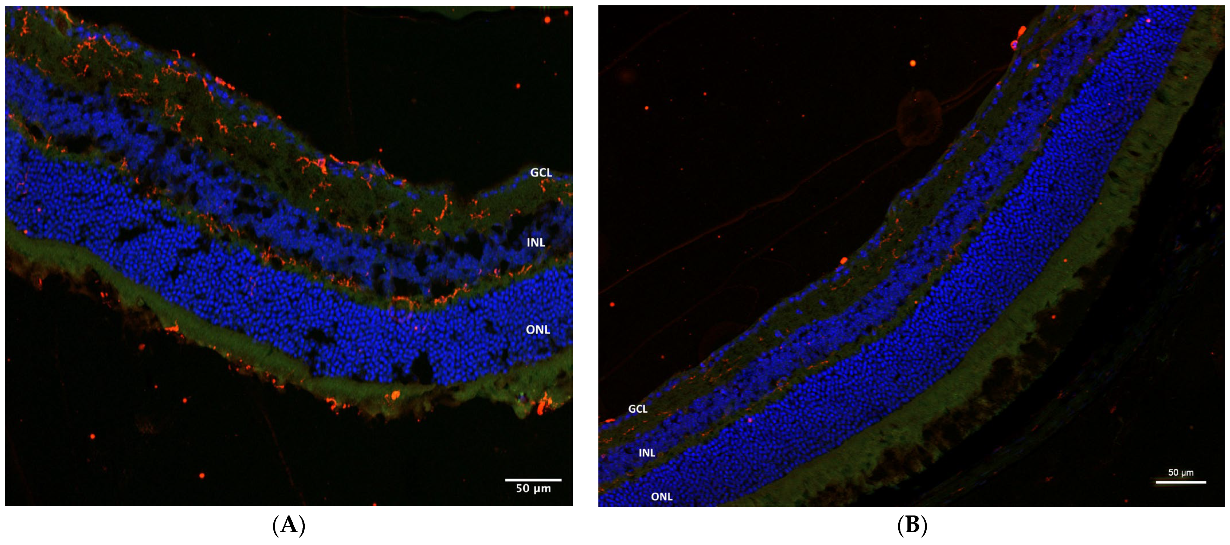 Pharmaceuticals 16 00486 g006 Pharmaceuticals 16 00486 g006