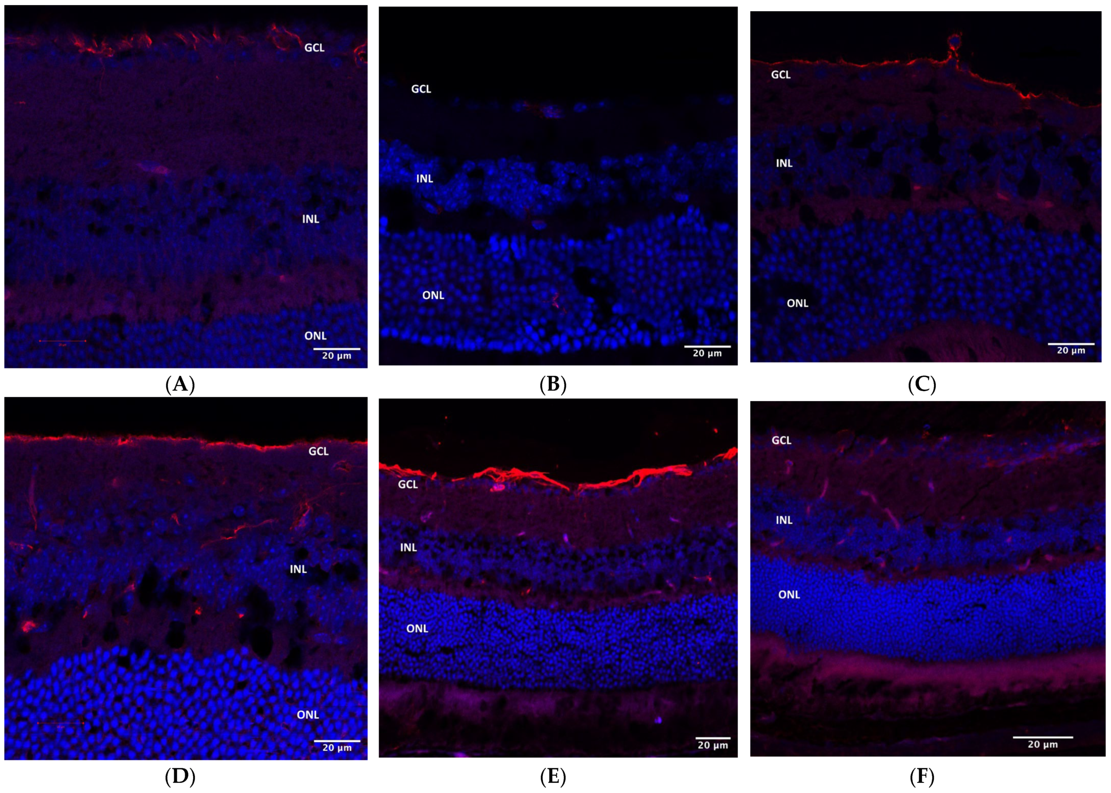Pharmaceuticals 16 00486 g007 Pharmaceuticals 16 00486 g007