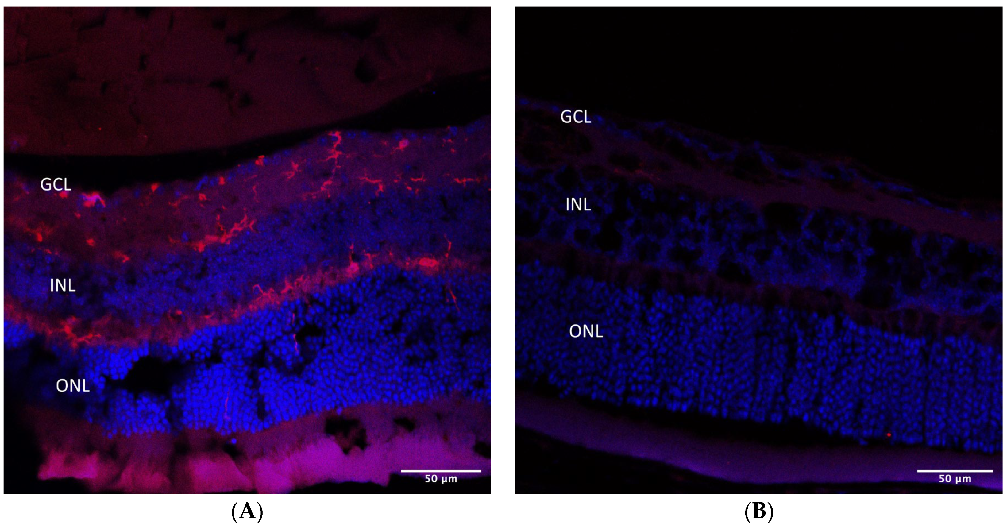 Pharmaceuticals 16 00486 g008 Pharmaceuticals 16 00486 g008