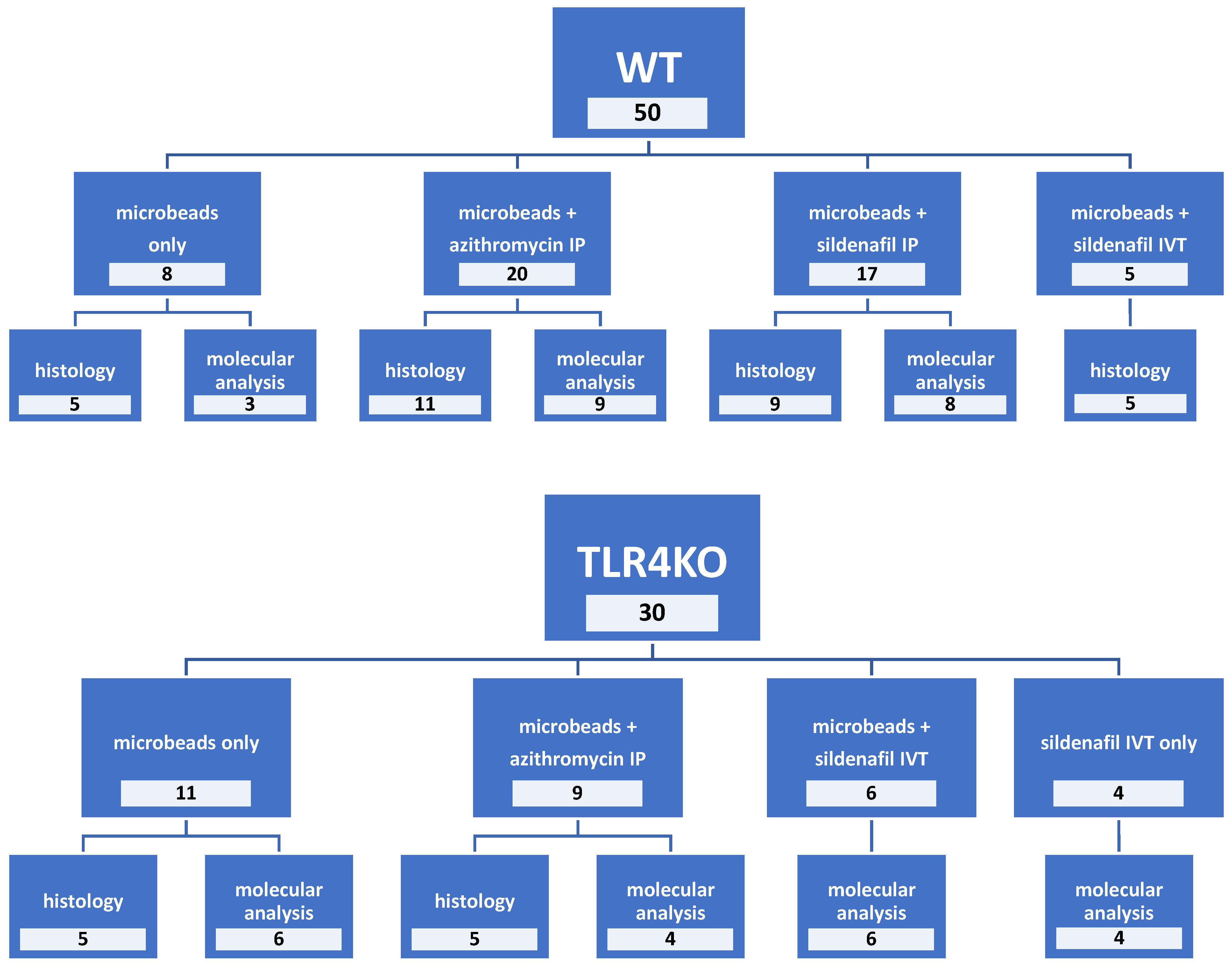 Pharmaceuticals 16 00486 g010 Pharmaceuticals 16 00486 g010
