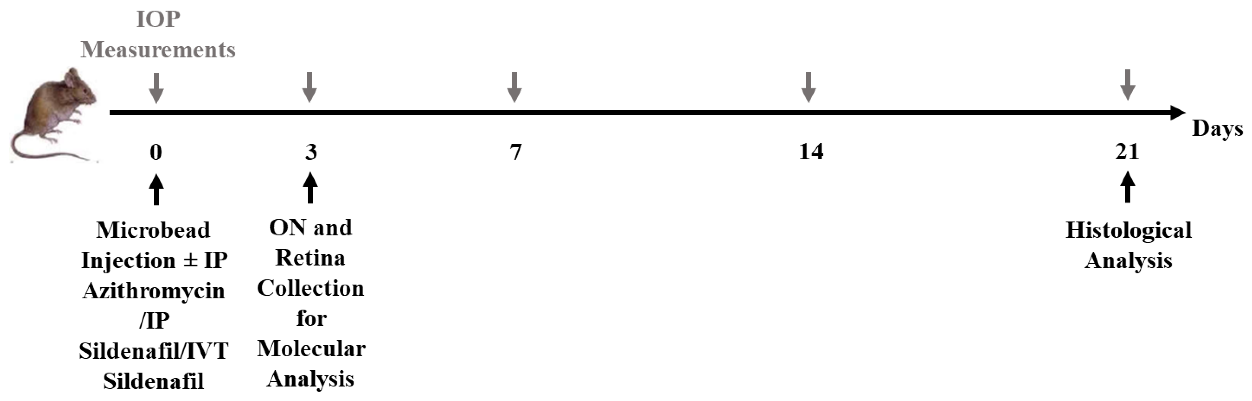 Pharmaceuticals 16 00486 g011 Pharmaceuticals 16 00486 g011