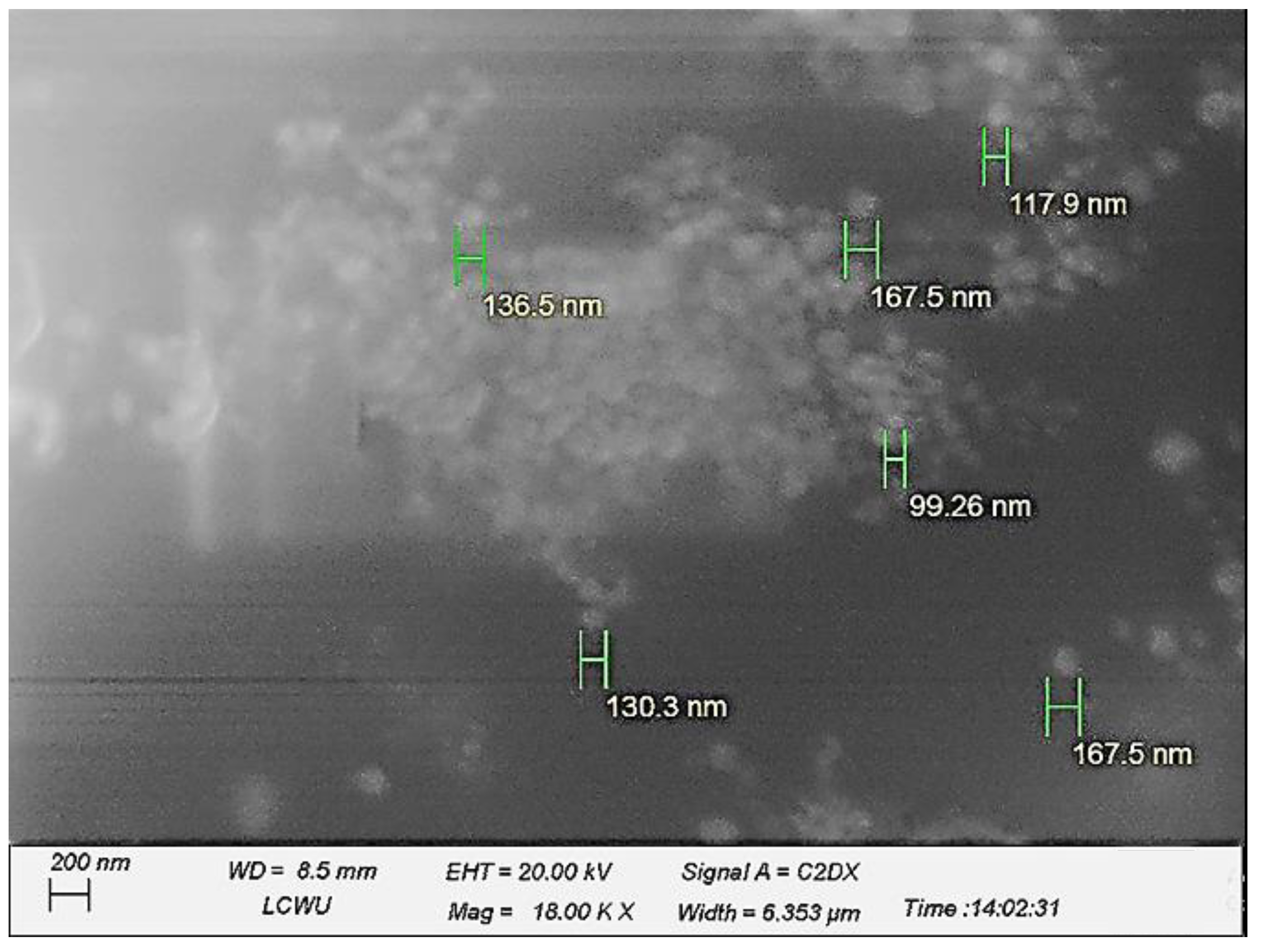 Pharmaceuticals 16 00490 g001