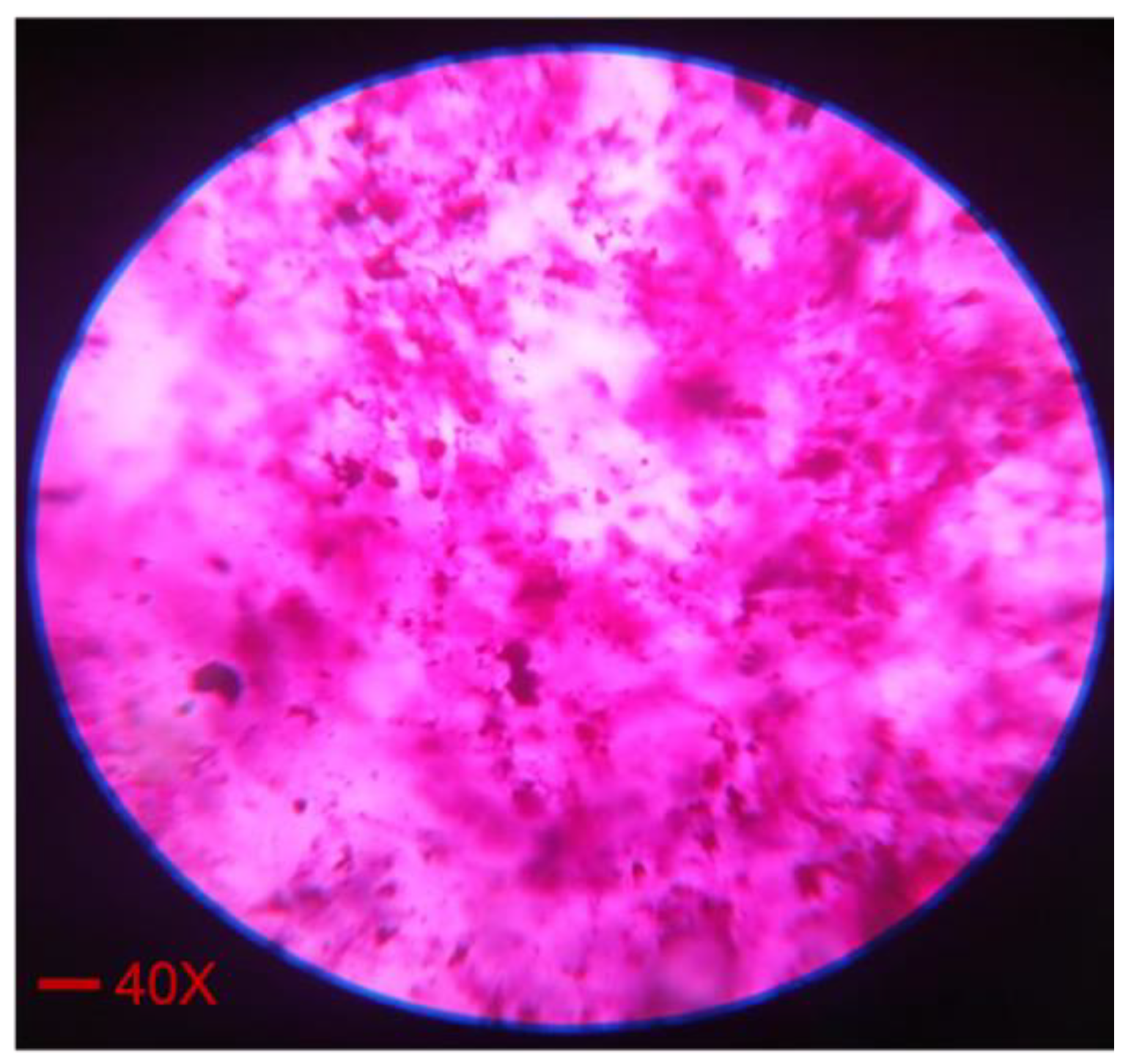 Pharmaceuticals 16 00490 g003