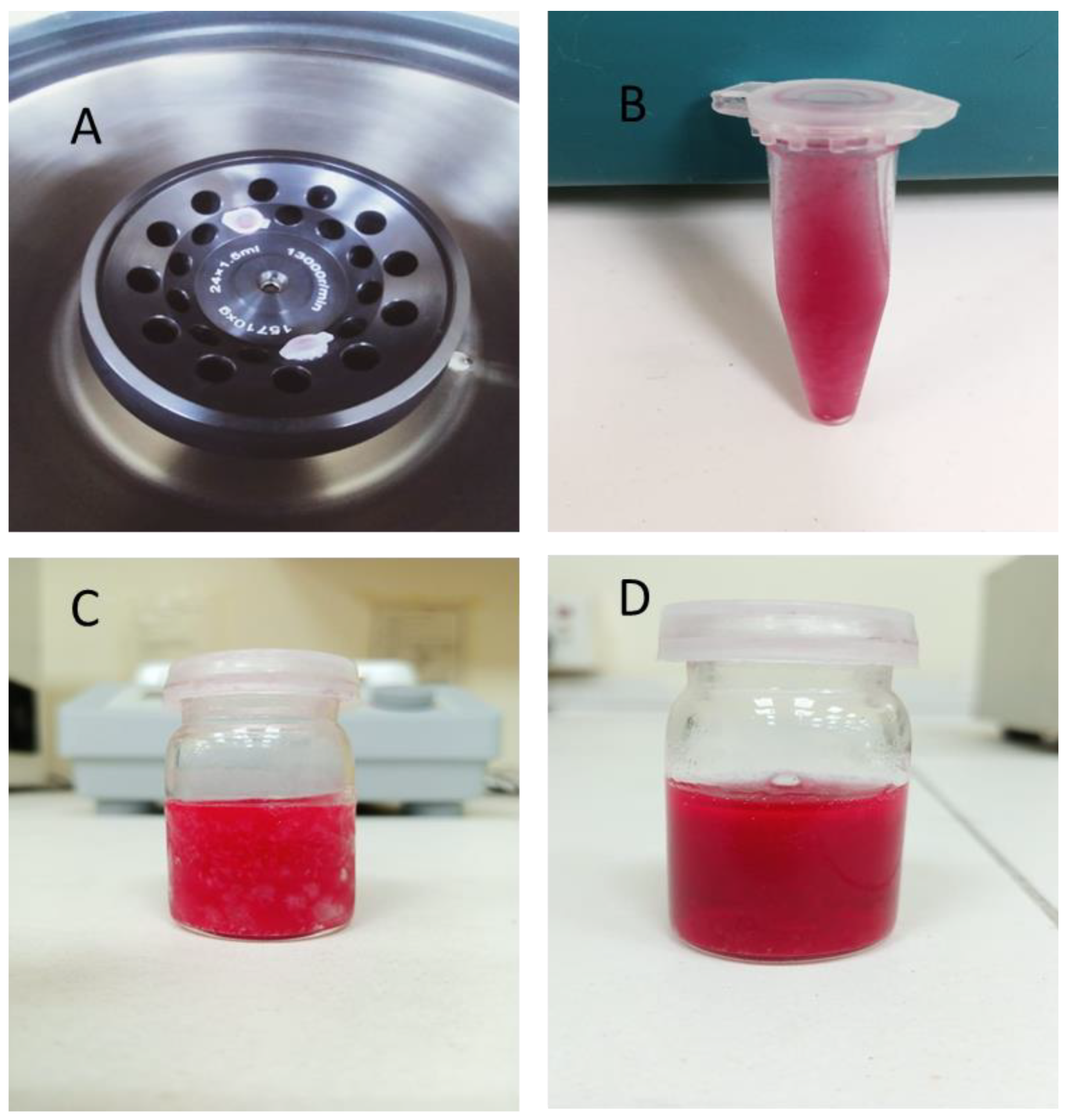 Pharmaceuticals 16 00490 g005
