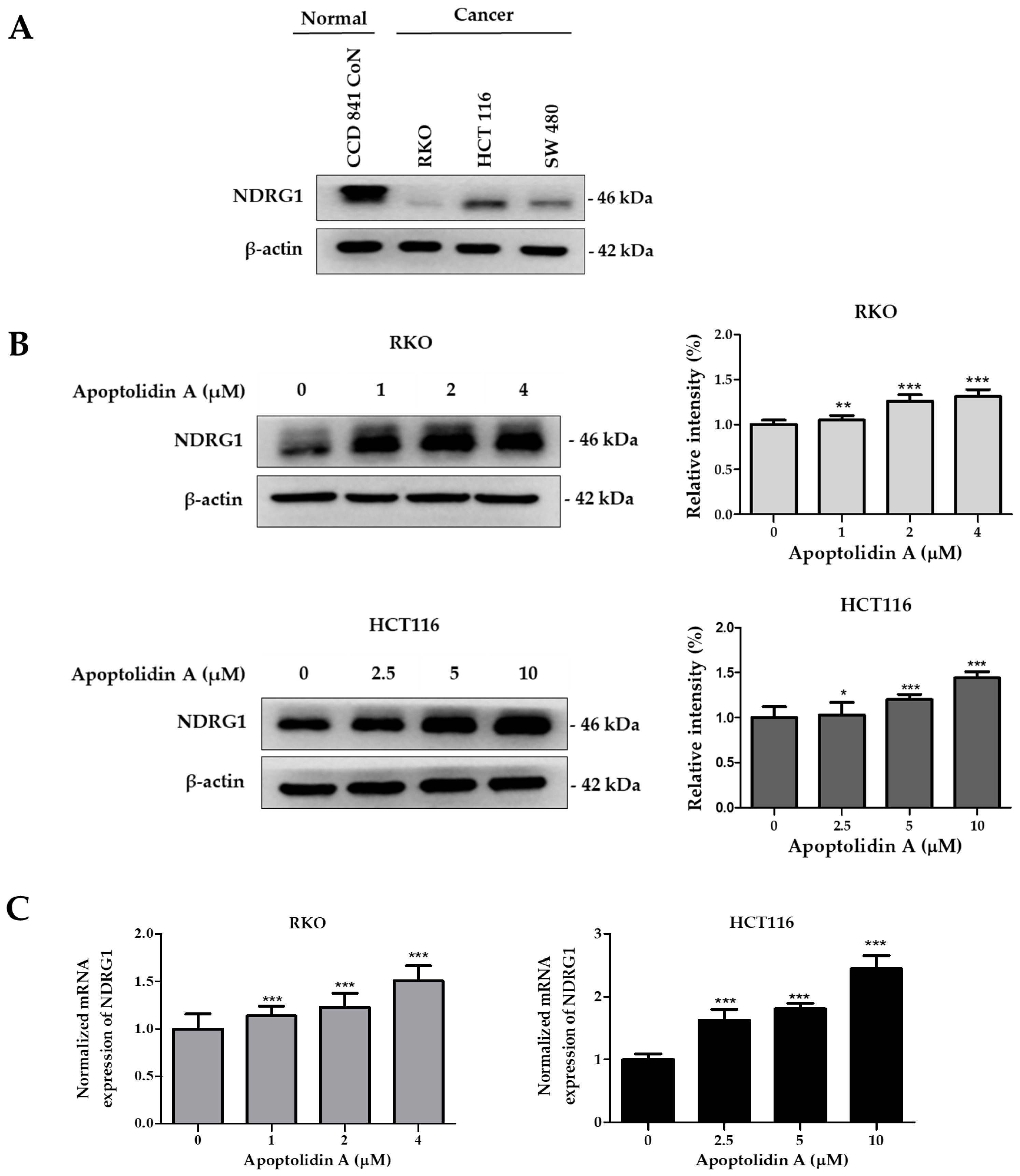 Pharmaceuticals 16 00491 g004 Pharmaceuticals 16 00491 g004