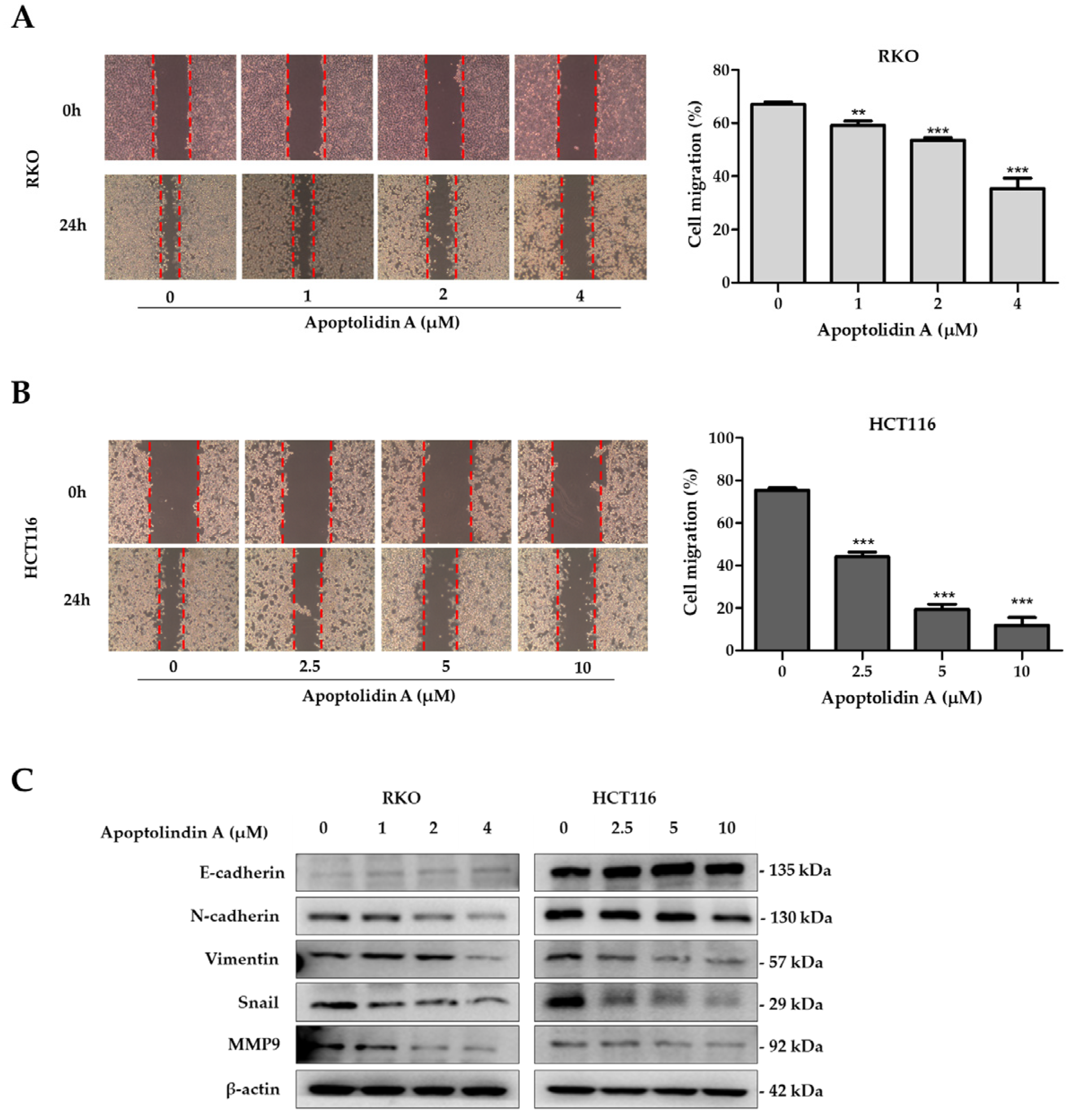 Pharmaceuticals 16 00491 g005 Pharmaceuticals 16 00491 g005