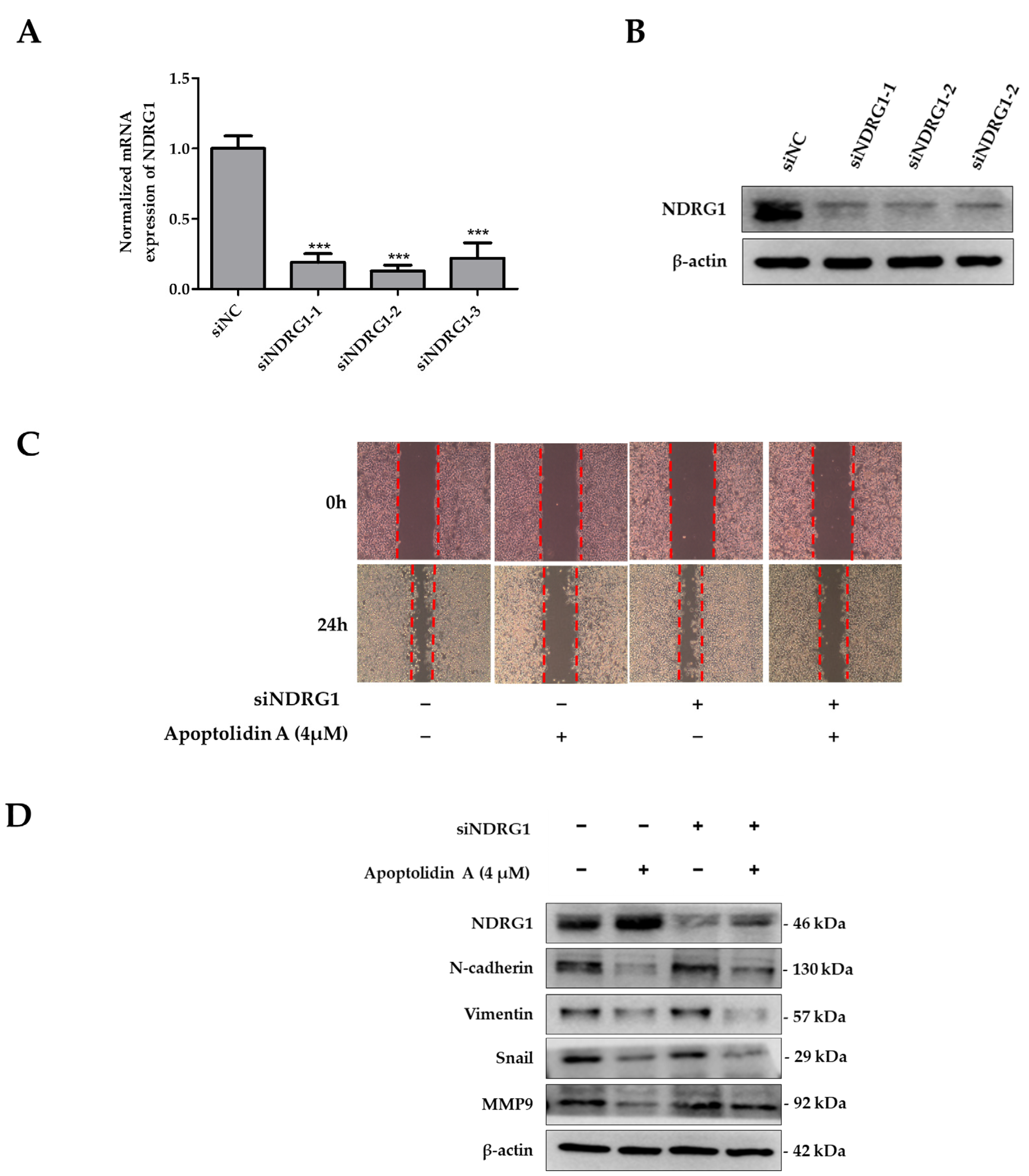 Pharmaceuticals 16 00491 g006 Pharmaceuticals 16 00491 g006