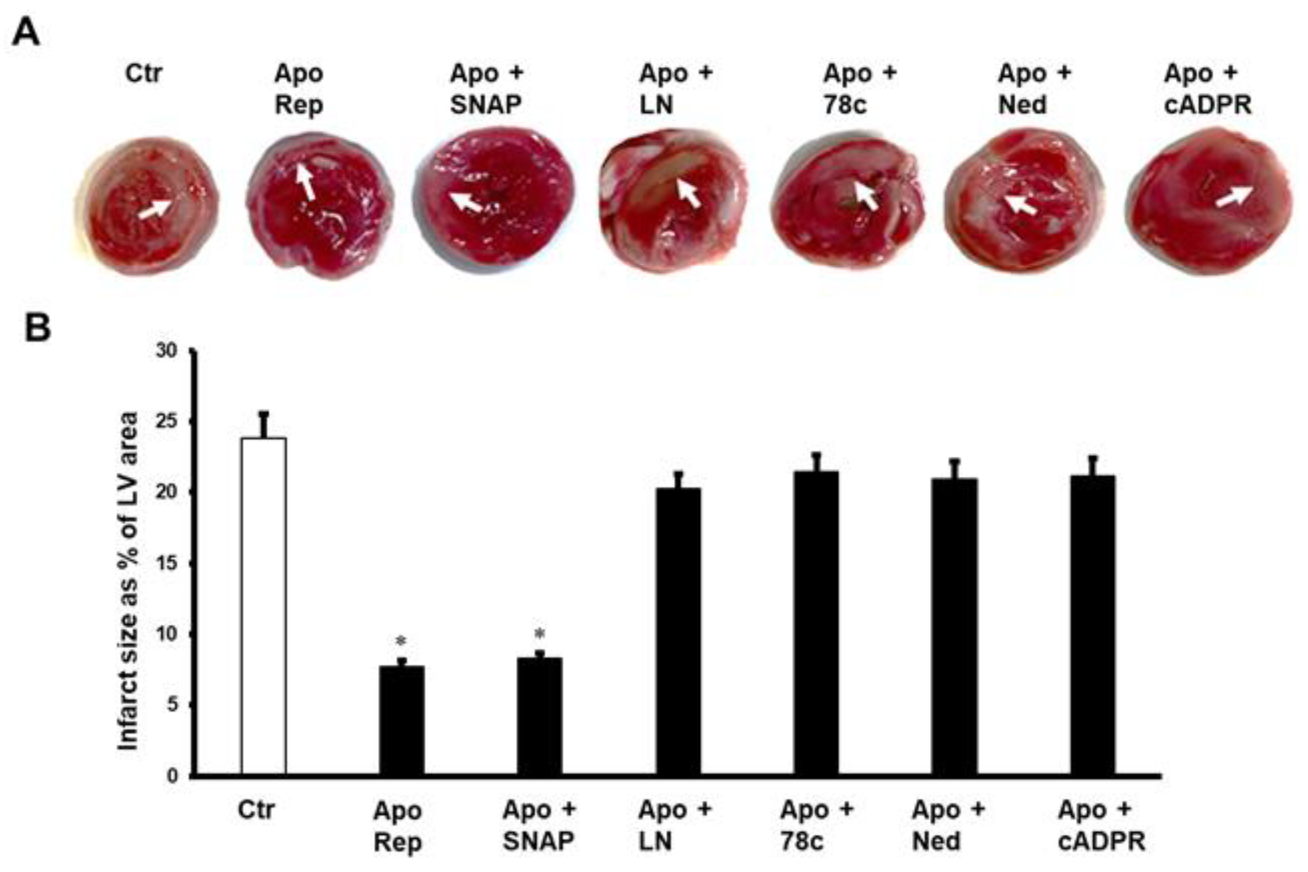 Pharmaceuticals 16 00492 g004 Pharmaceuticals 16 00492 g004