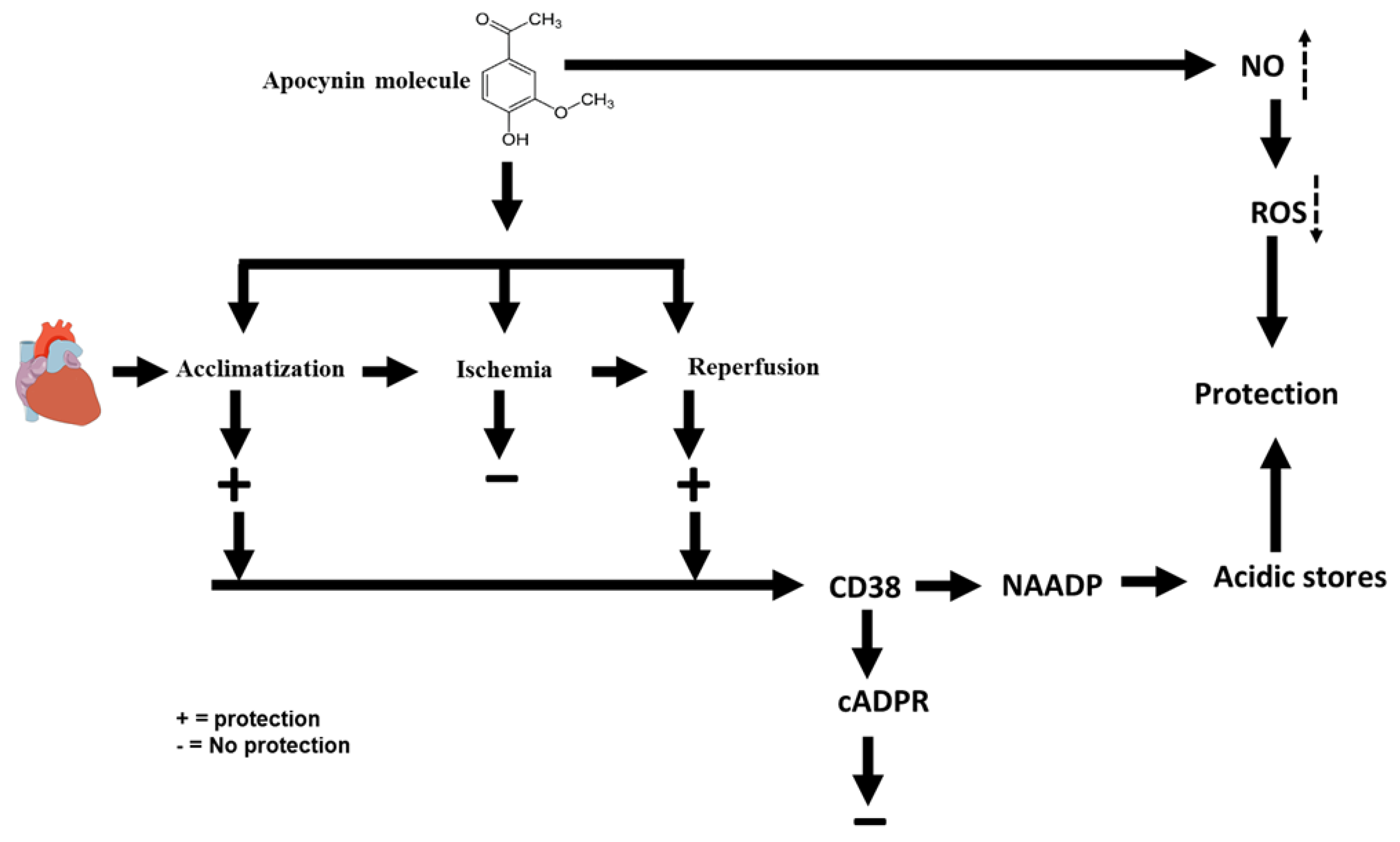 Pharmaceuticals 16 00492 g008 Pharmaceuticals 16 00492 g008
