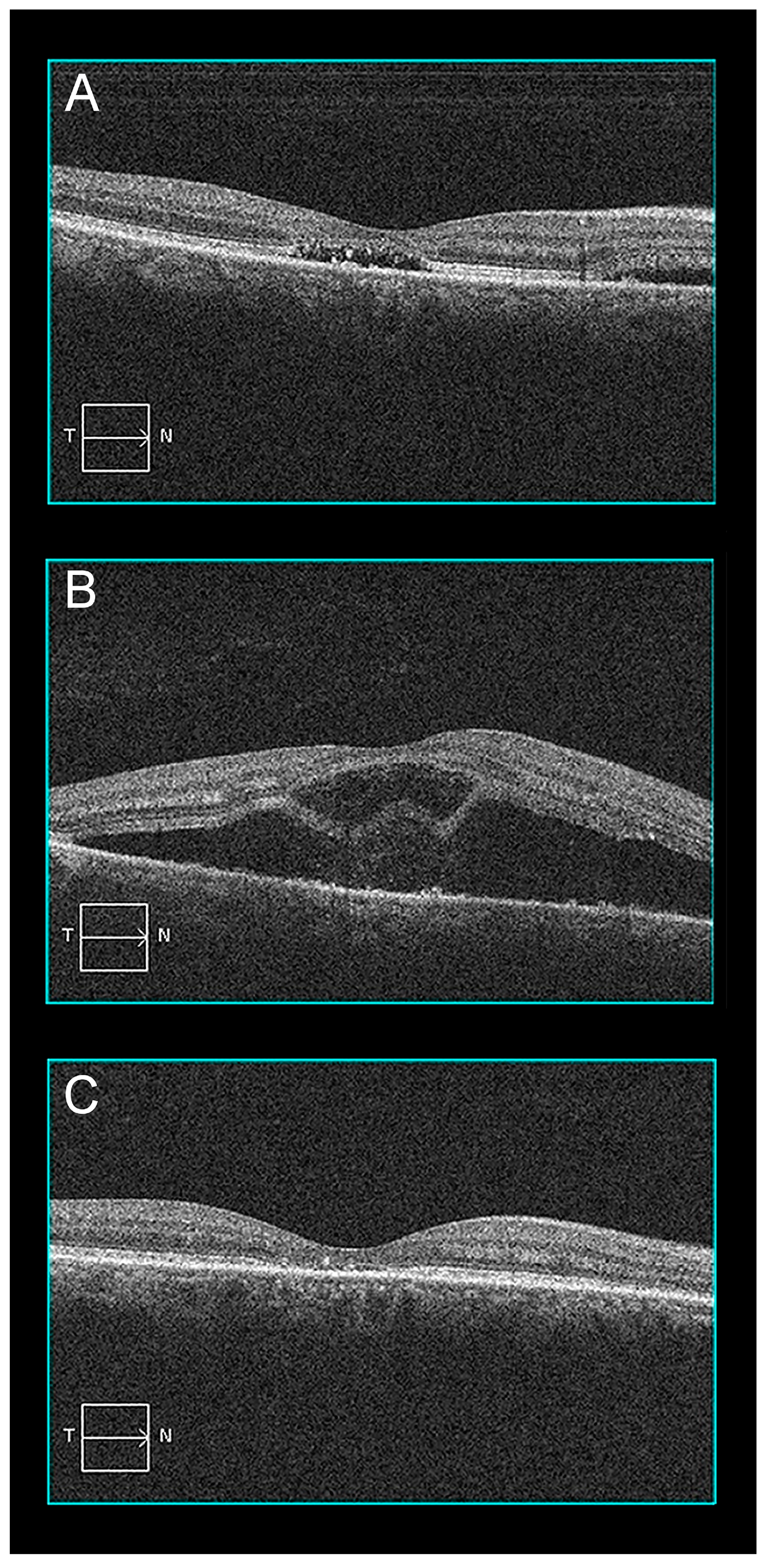 Pharmaceuticals 16 00494 g003