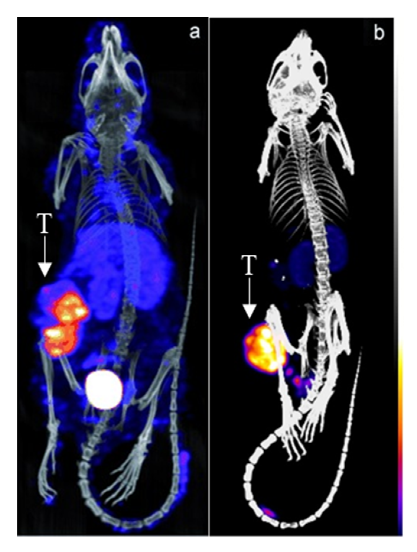 Pharmaceuticals 16 00497 g003 Pharmaceuticals 16 00497 g003