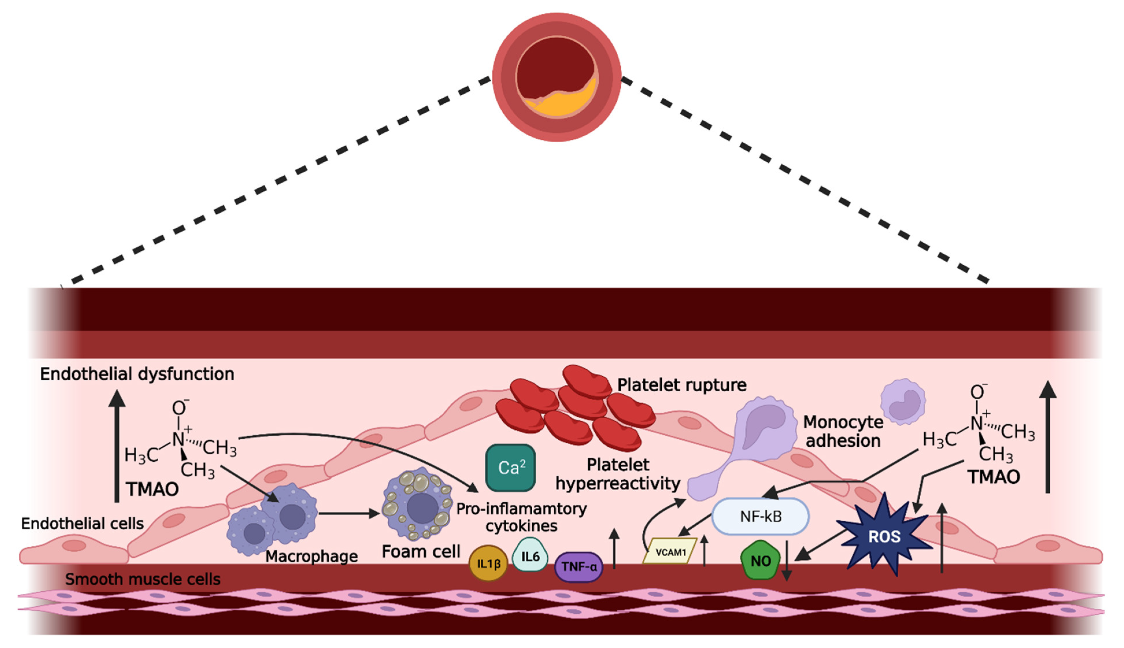 Pharmaceuticals 16 00504 g002 Pharmaceuticals 16 00504 g002