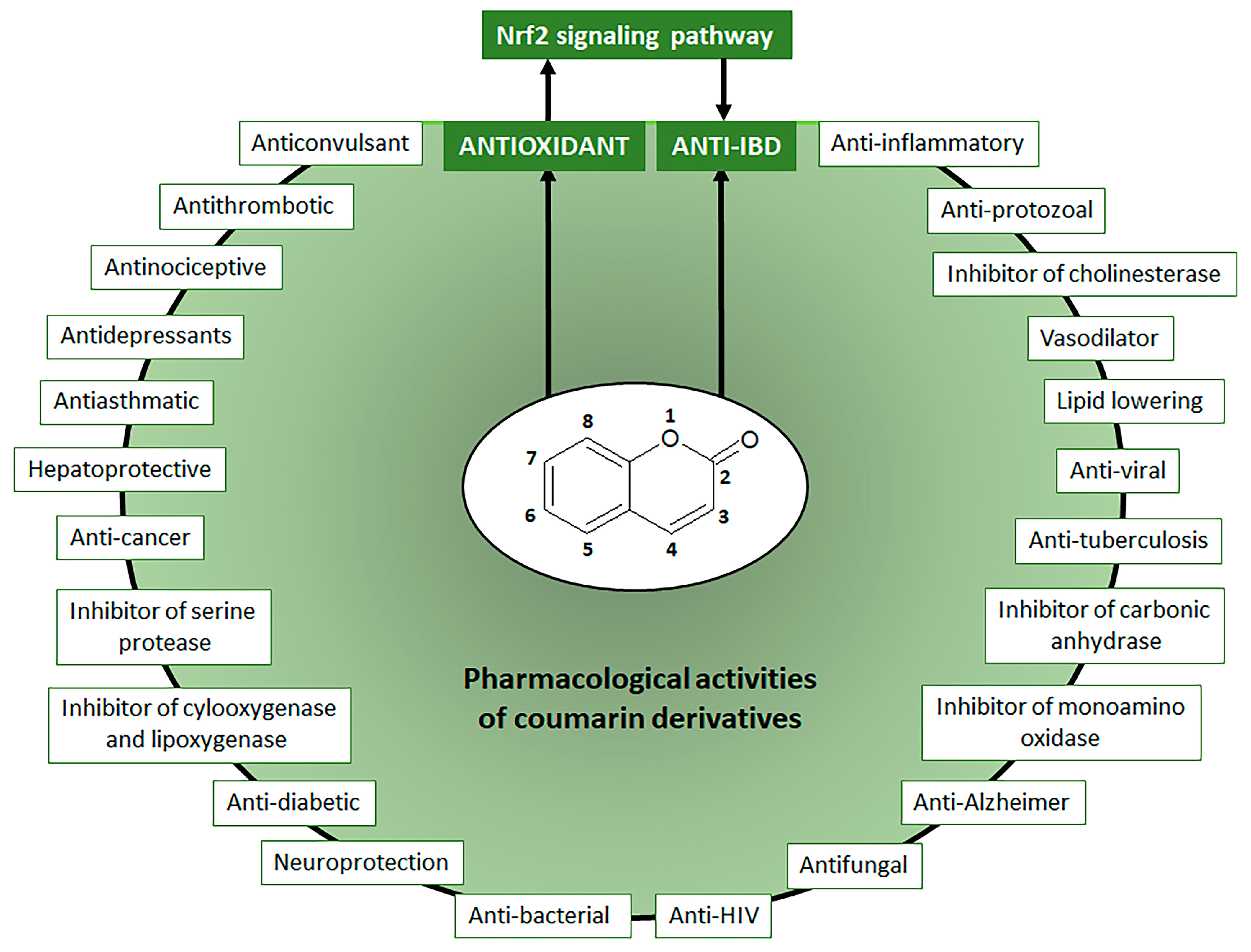 Pharmaceuticals 16 00511 g001 Pharmaceuticals 16 00511 g001