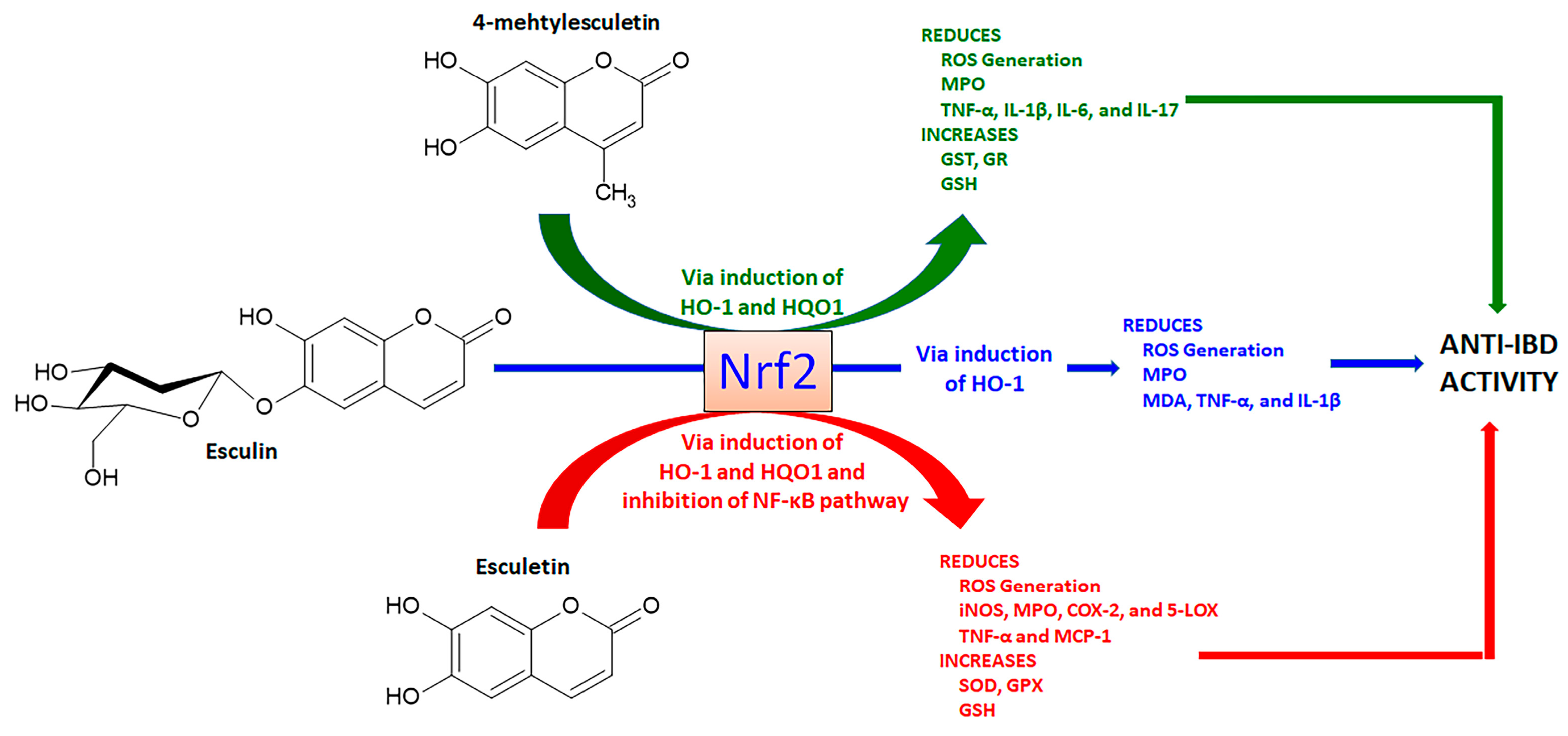Pharmaceuticals 16 00511 g005 Pharmaceuticals 16 00511 g005